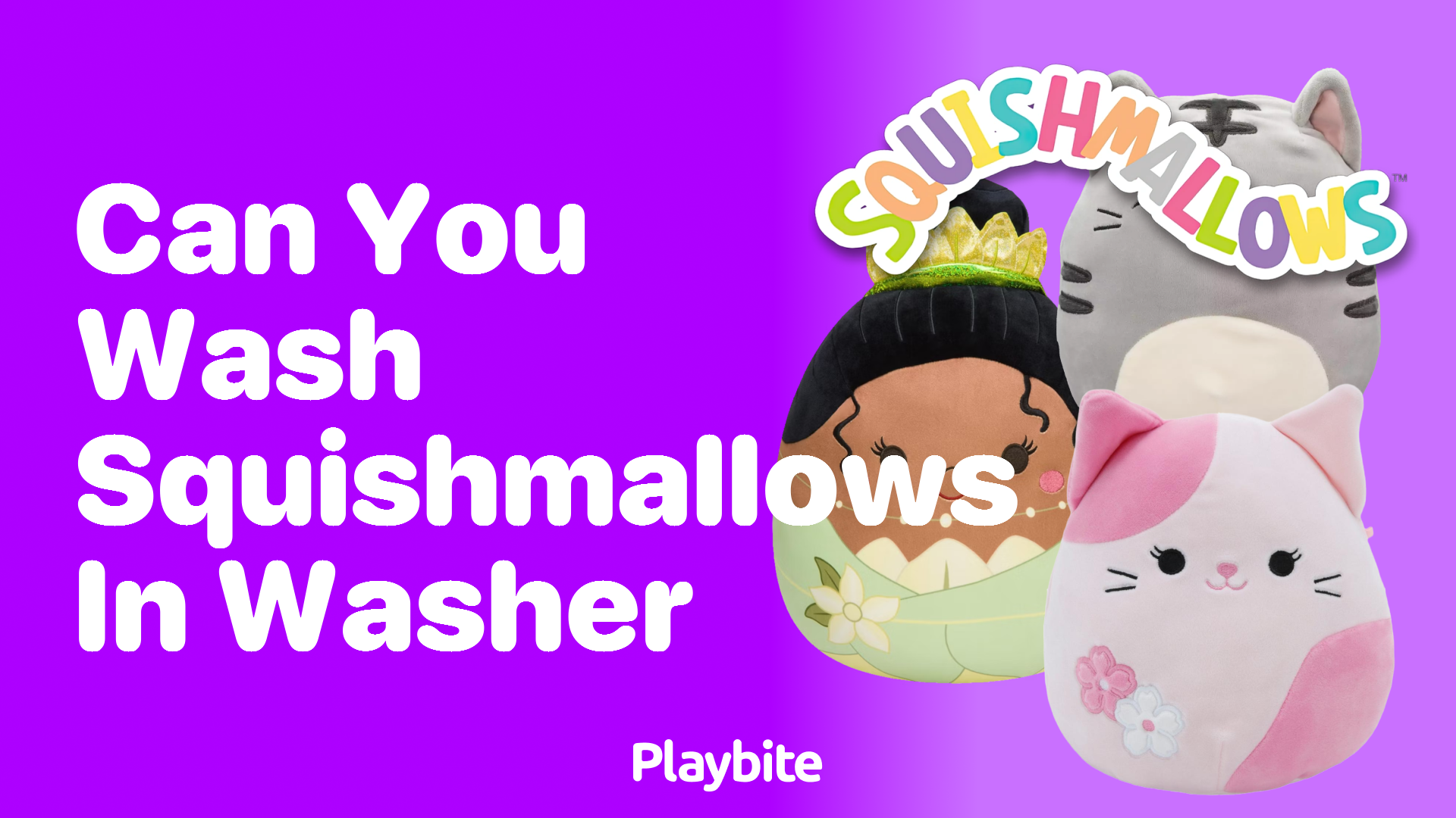 Can You Wash Squishmallows in the Washer?