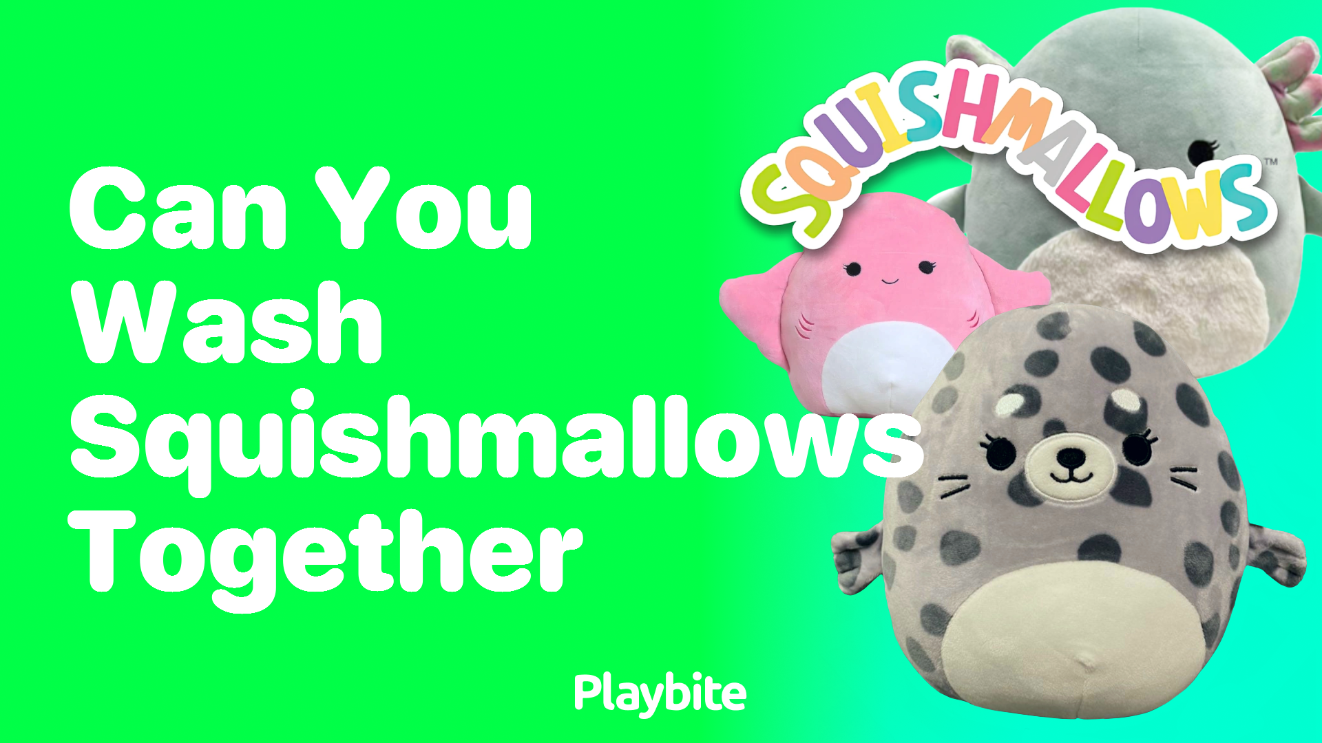 Can You Wash Squishmallows Together? Let&#8217;s Find Out!