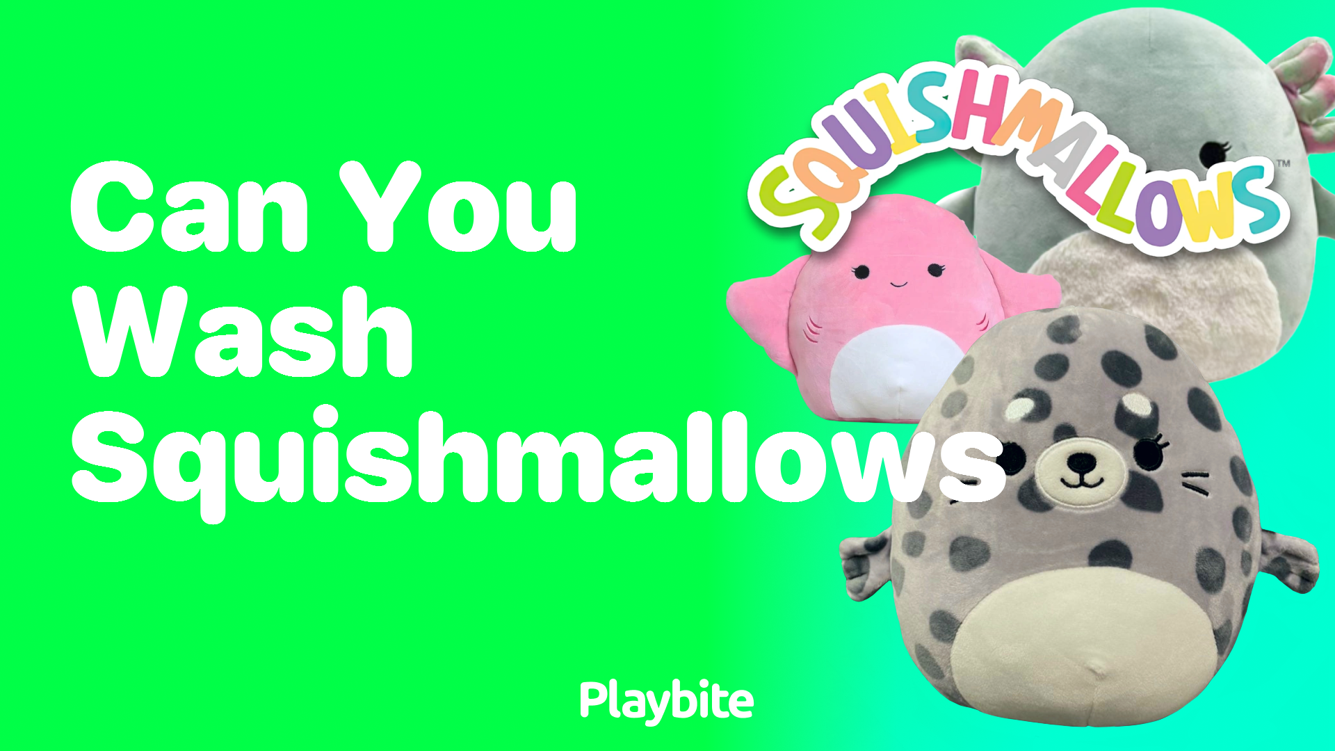 Can You Wash Squishmallows? Keeping Your Cuddly Friends Clean