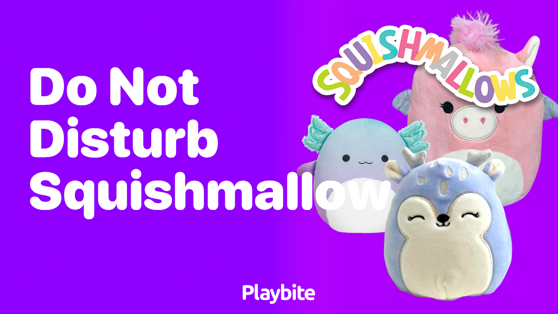 What&#8217;s the Deal with &#8216;Do Not Disturb&#8217; Squishmallow?