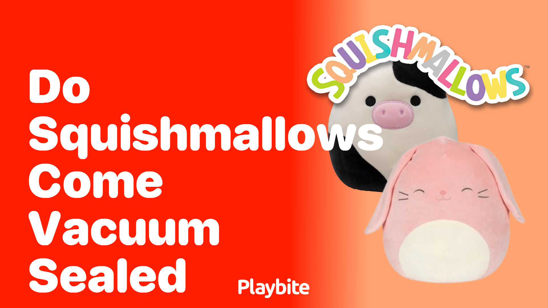 Do Squishmallows Come Vacuum Sealed?