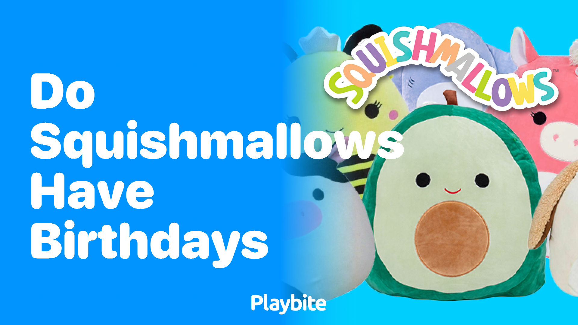 Do Squishmallows Have Birthdays?