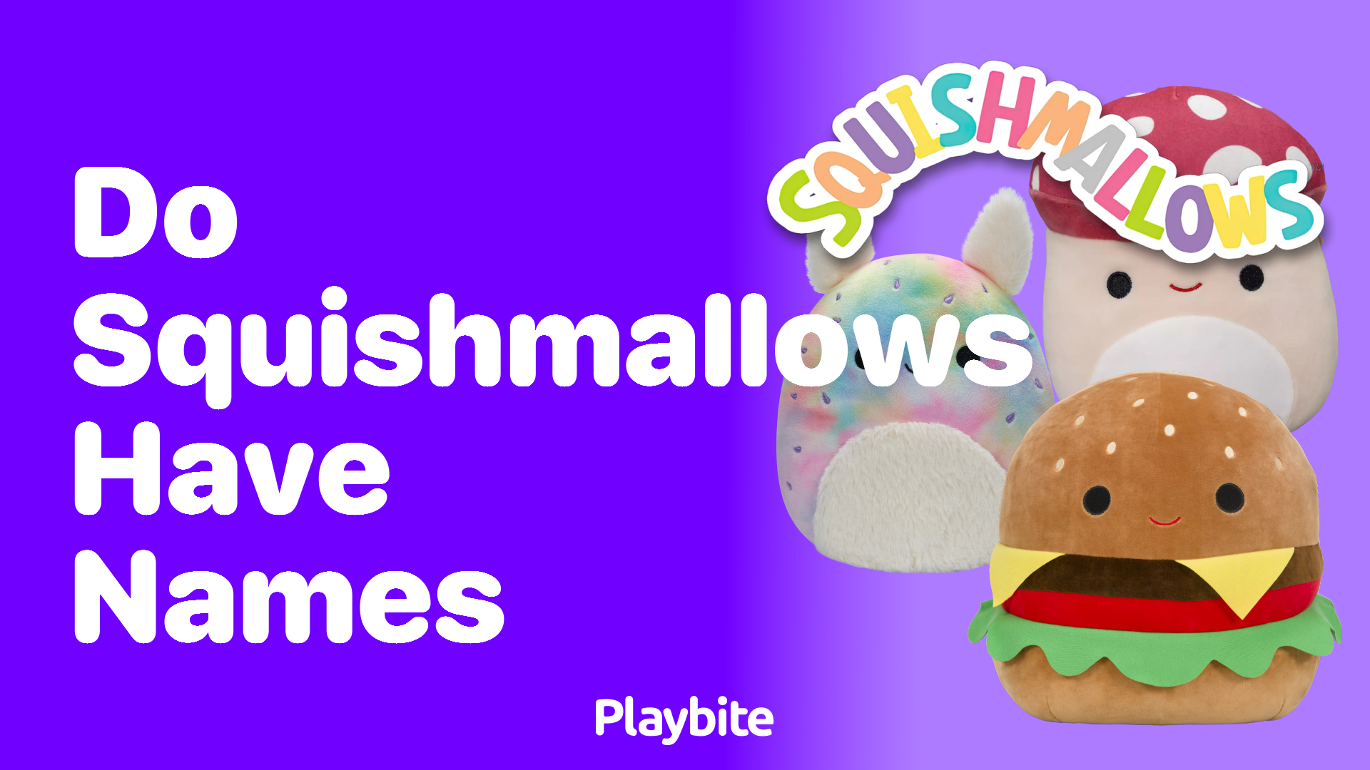 Do Squishmallows Have Names? Discover the Unique World of Squishmallows