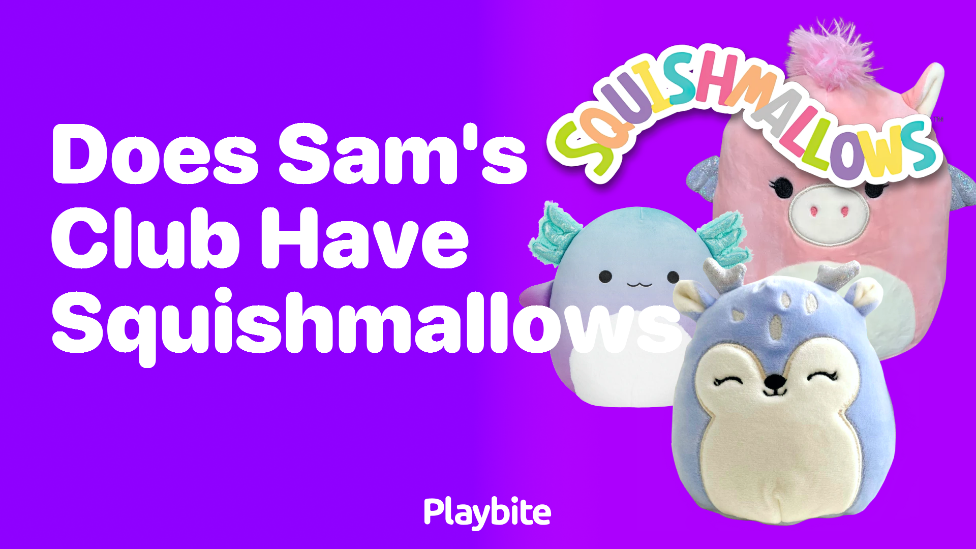 Does Sam&#8217;s Club Have Squishmallows? Find Out Here!