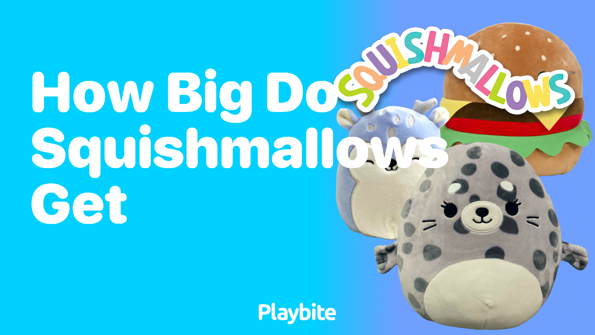 How Big Do Squishmallows Get? Discover the Sizes!