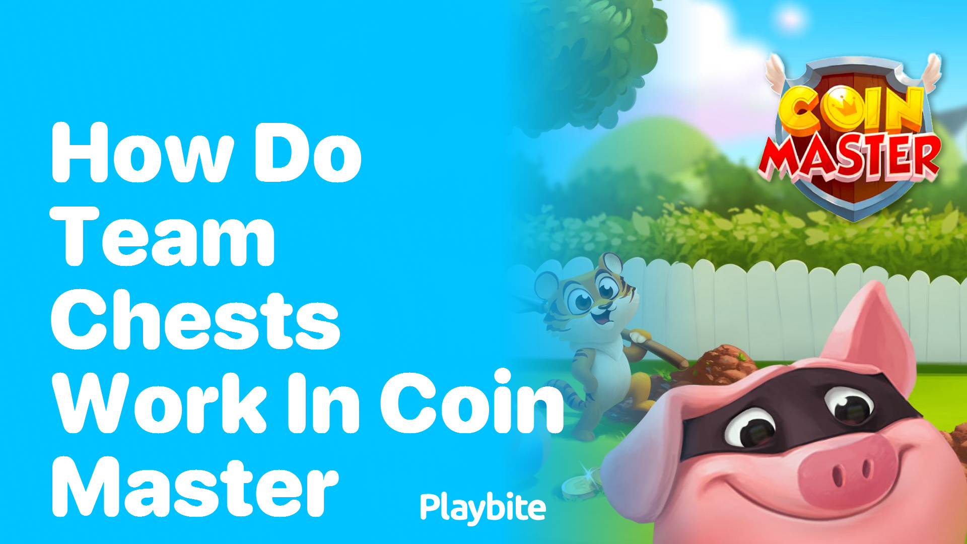 How Do Team Chests Work in Coin Master?