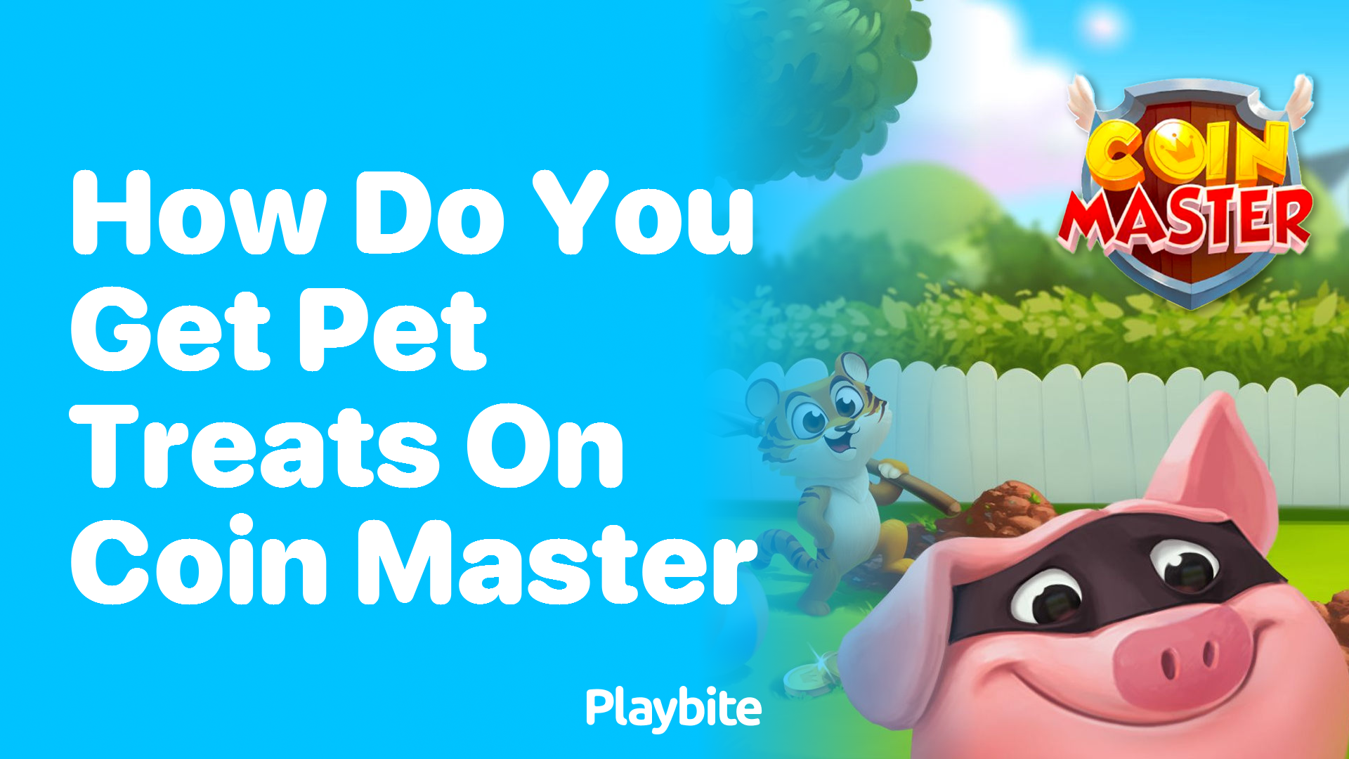 How Do You Get Pet Treats in Coin Master?