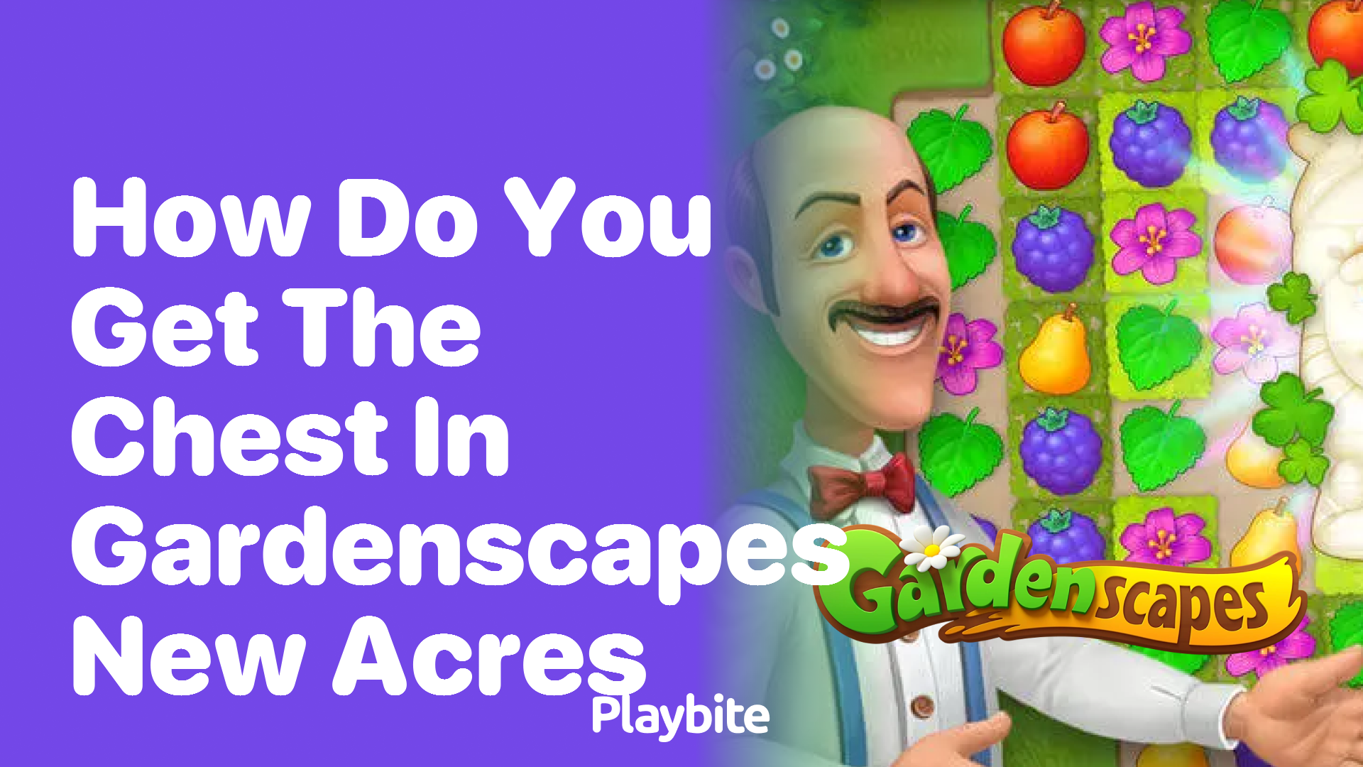 How Do You Get the Chest in Gardenscapes: New Acres?