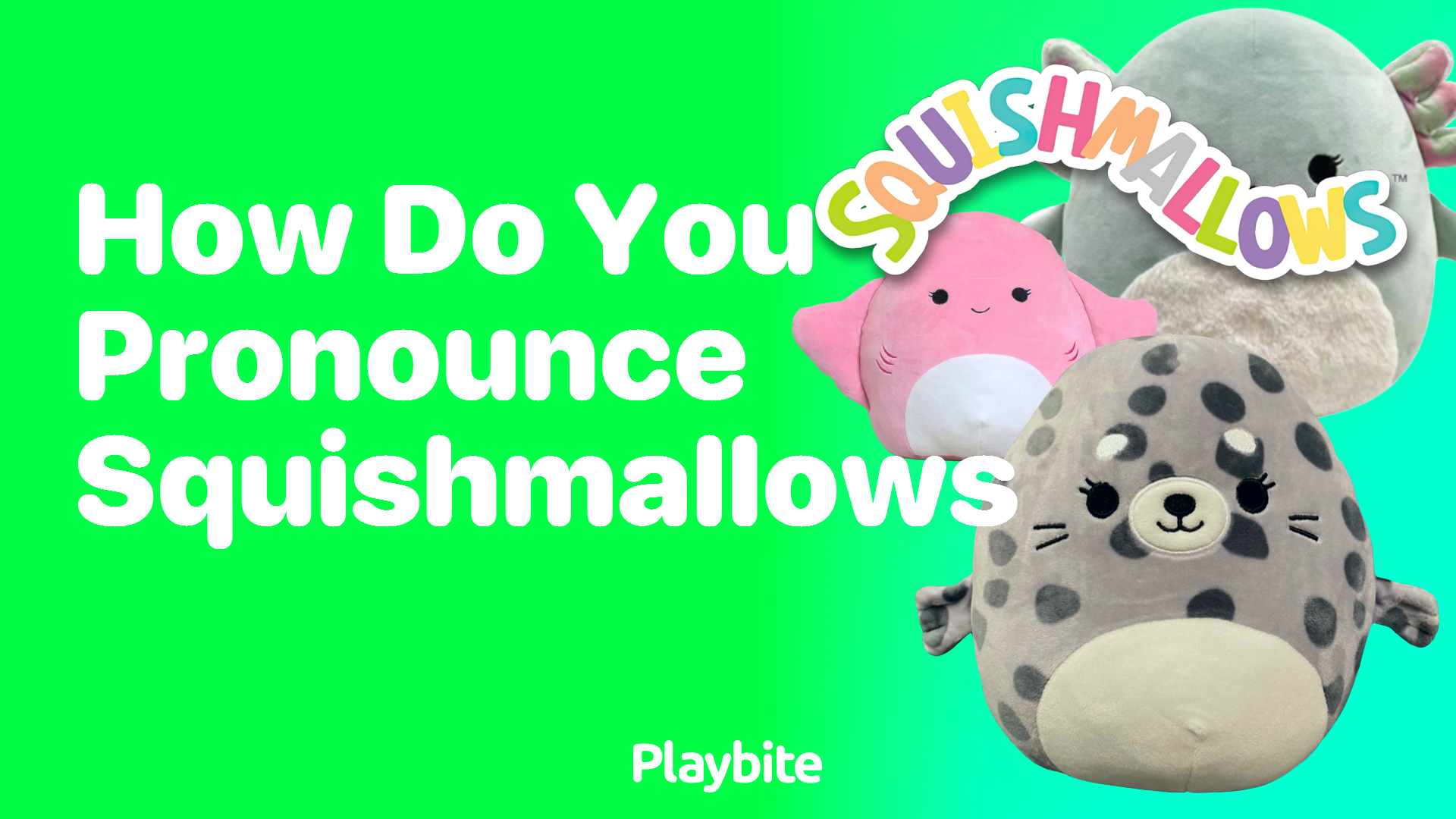 How Do You Pronounce Squishmallows?