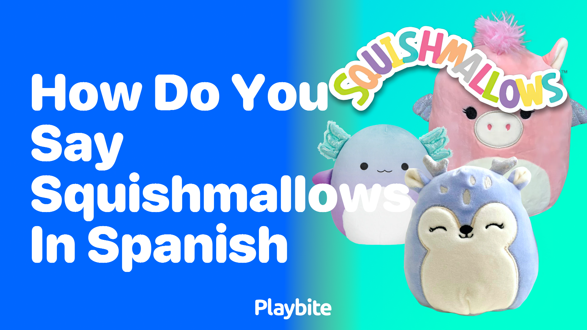 How Do You Say Squishmallows in Spanish?