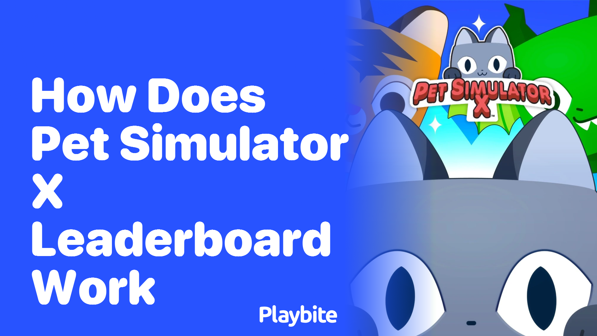 How Does the Pet Simulator X Leaderboard Work?