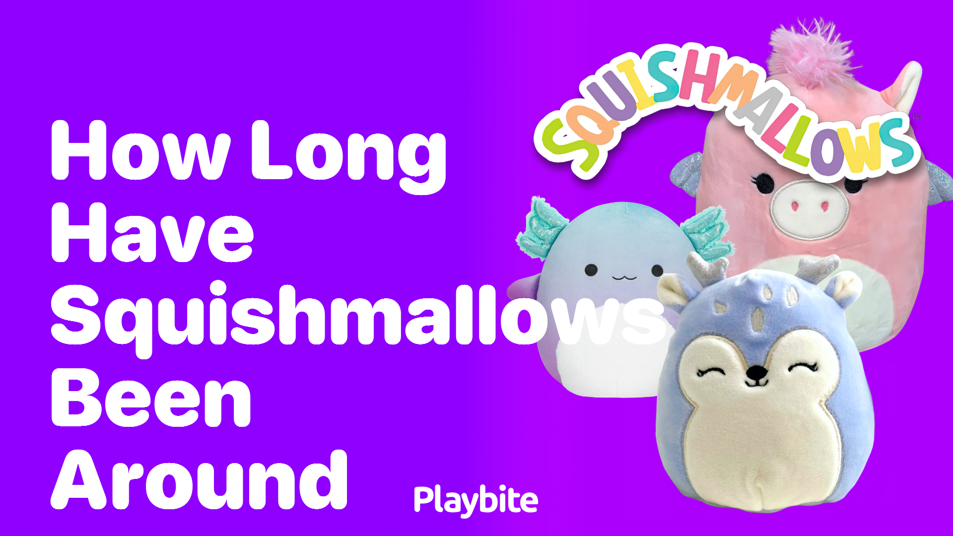 How Long Have Squishmallows Been Around? - Playbite