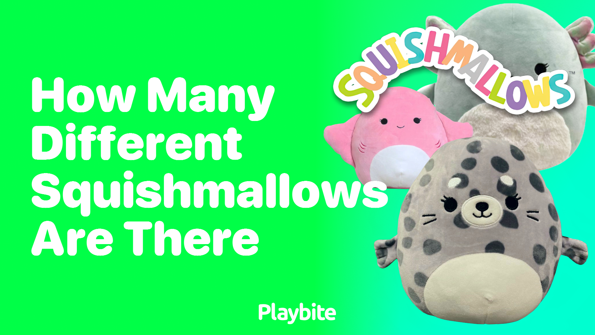 How Many Different Squishmallows Are There?