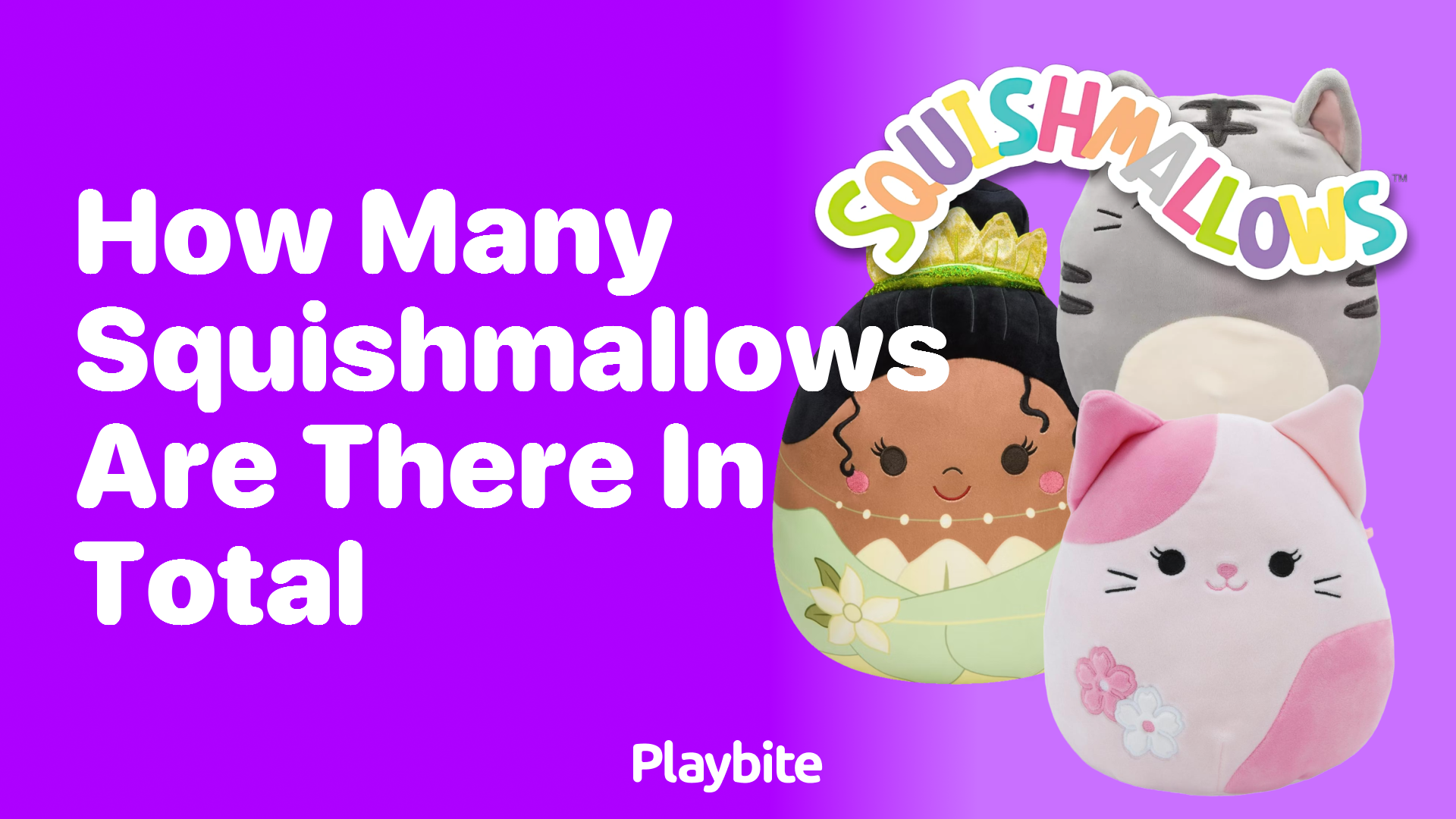 How Many Squishmallows Are There in Total?