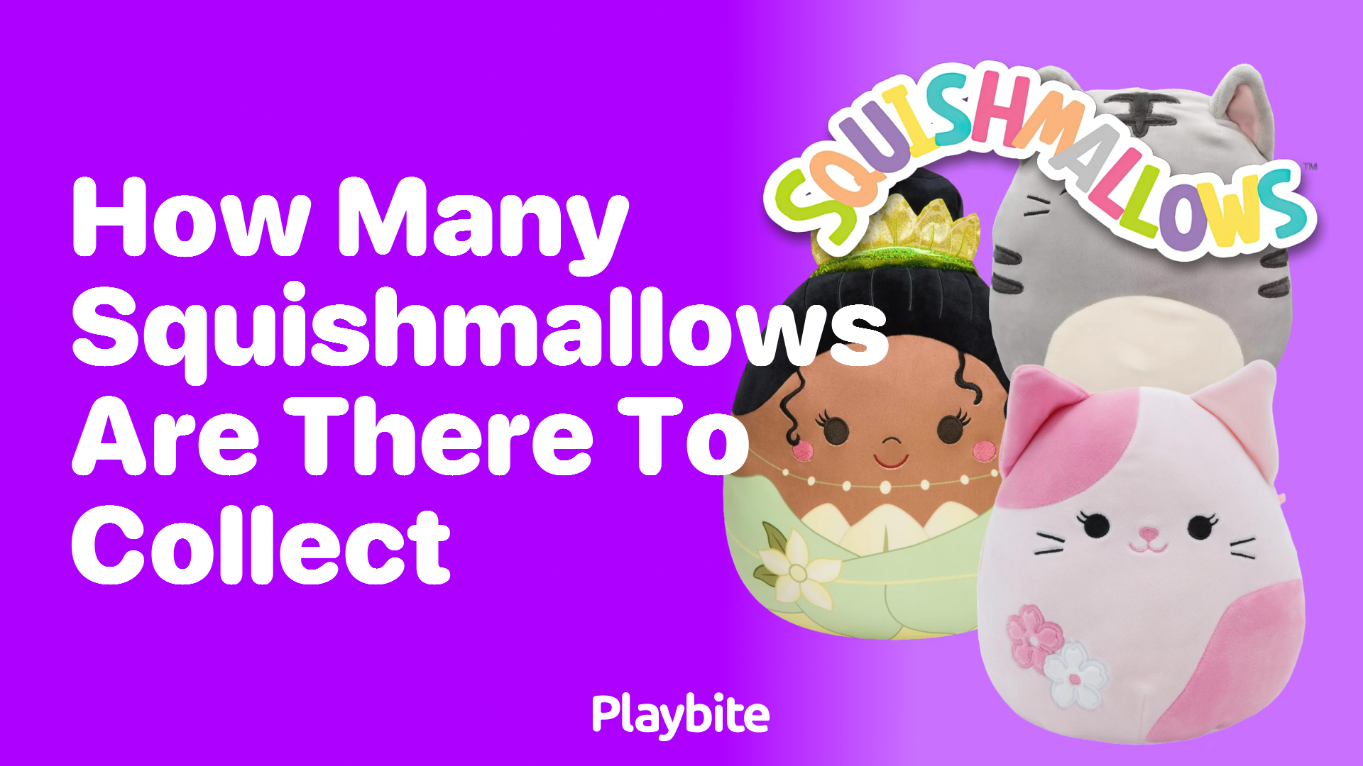 How Many Squishmallows Are There to Collect?