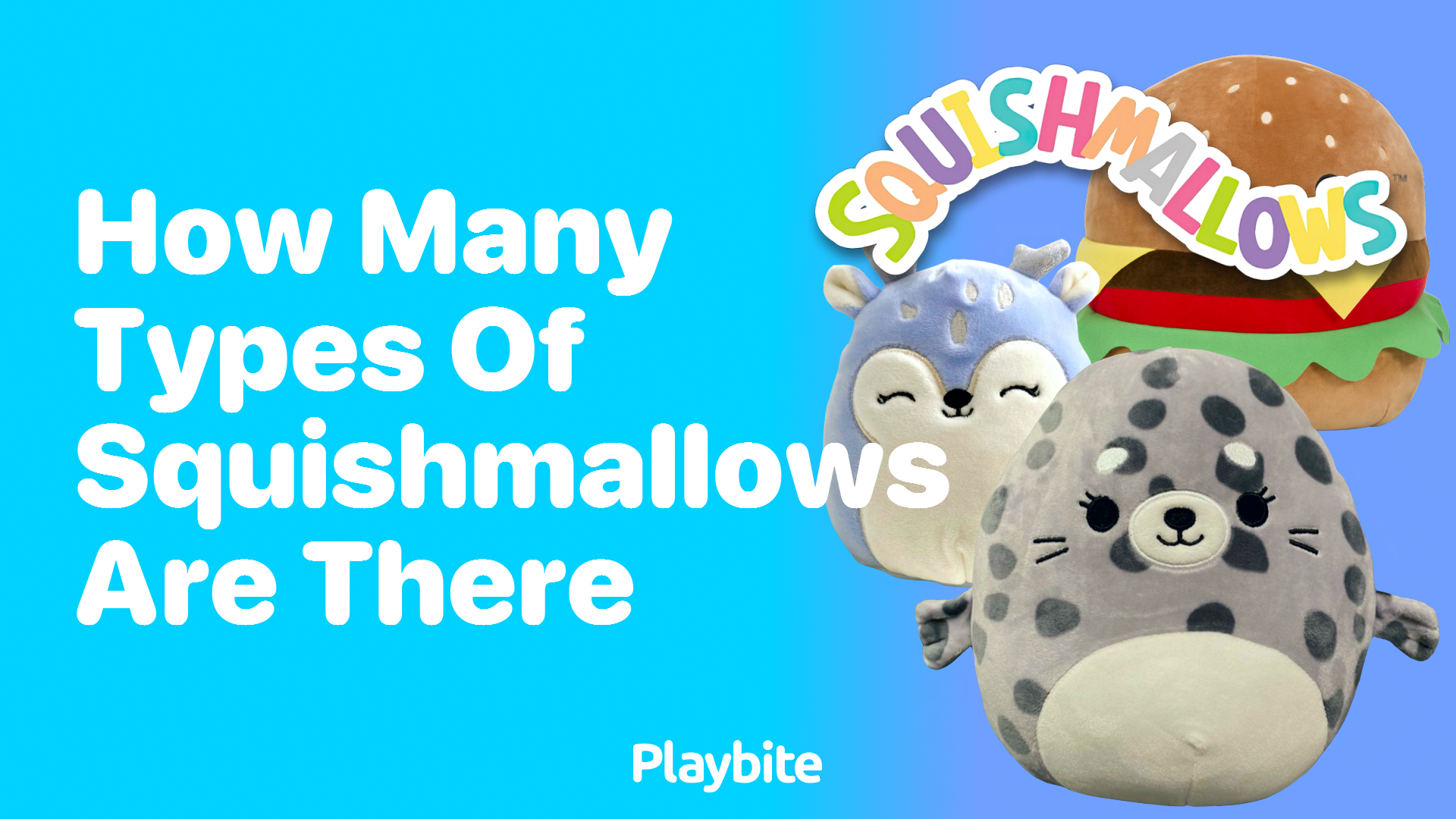 How Many Types of Squishmallows Are There?