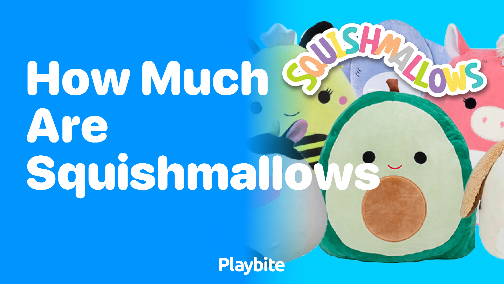 How Much Are Squishmallows? Discover the Price Range!