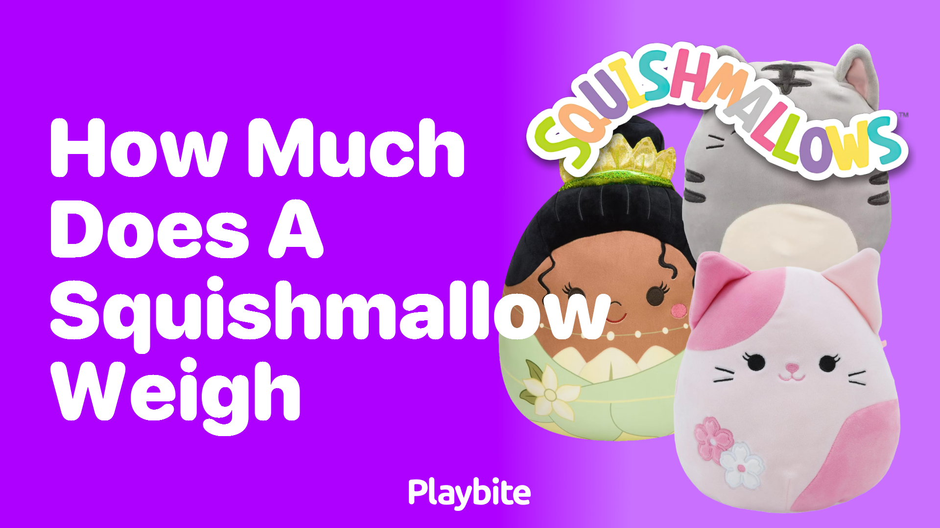 How Much Does a Squishmallow Weigh?