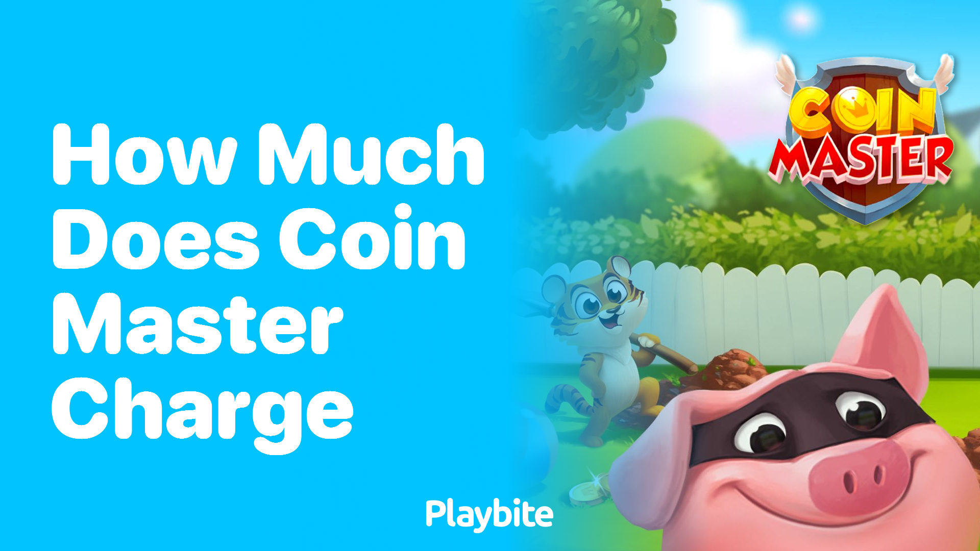 How Much Does Coin Master Charge for Its Addictive Gameplay?