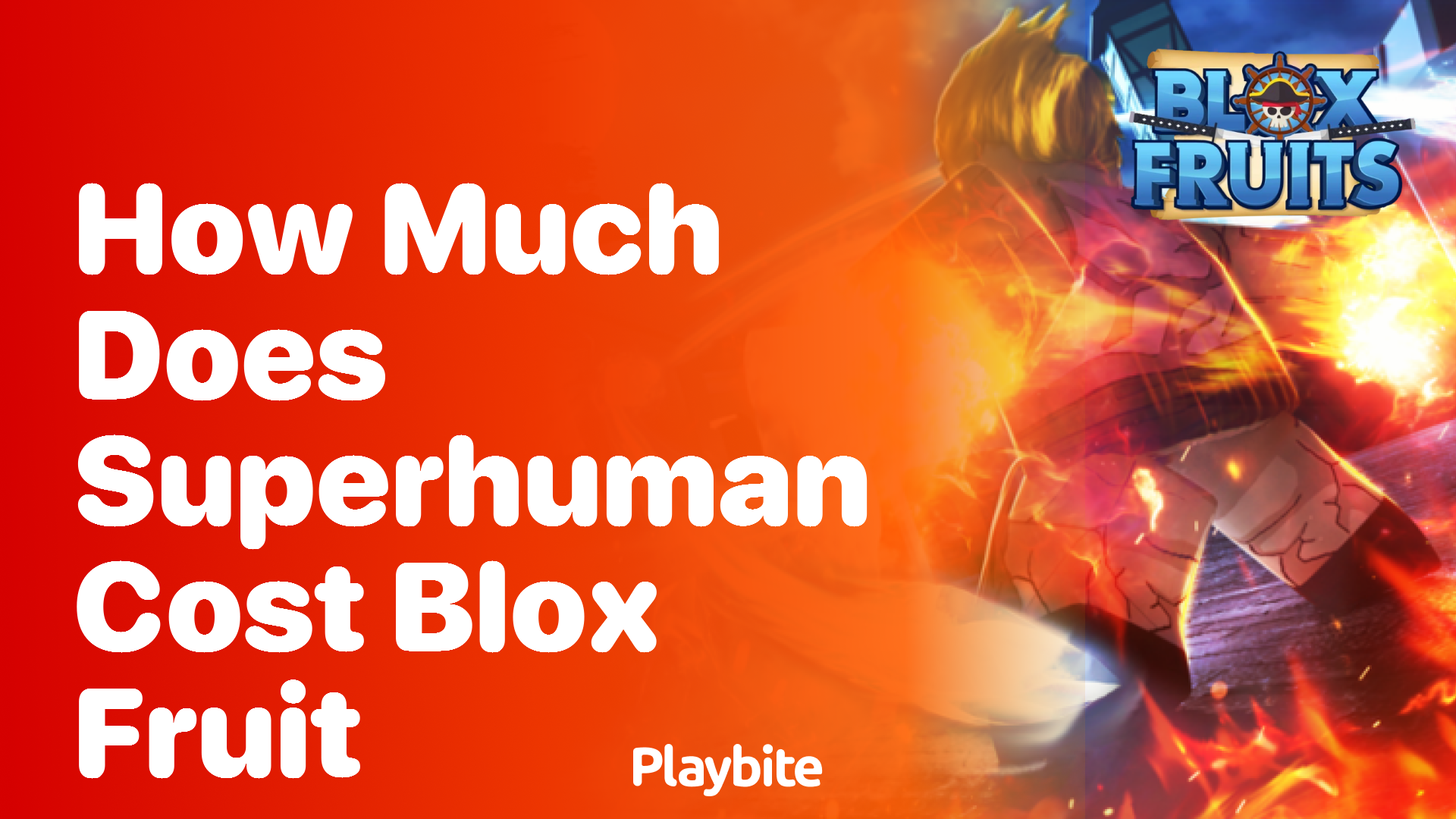 How much does Superhuman cost in Blox Fruit?