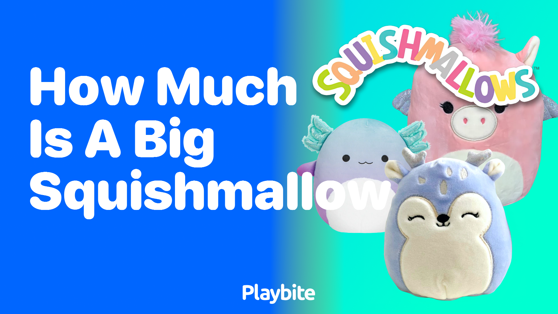 How Much Does a Big Squishmallow Cost?