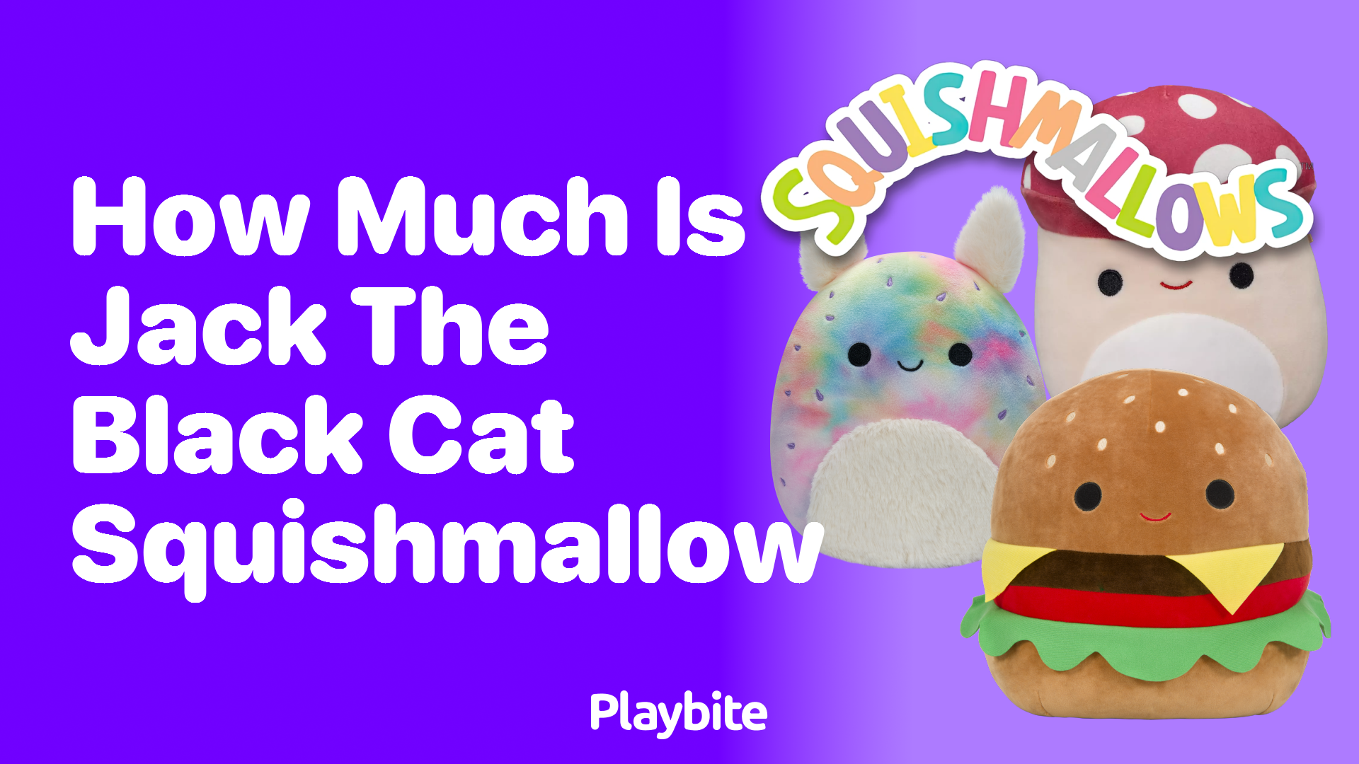 How Much is Jack the Black Cat Squishmallow?