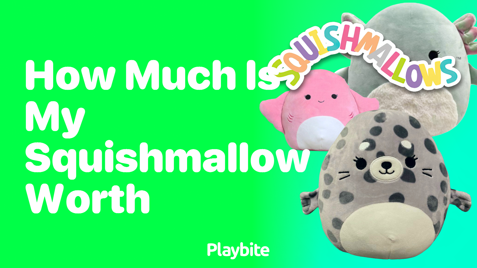 How Much is My Squishmallow Worth? Unveiling the Value