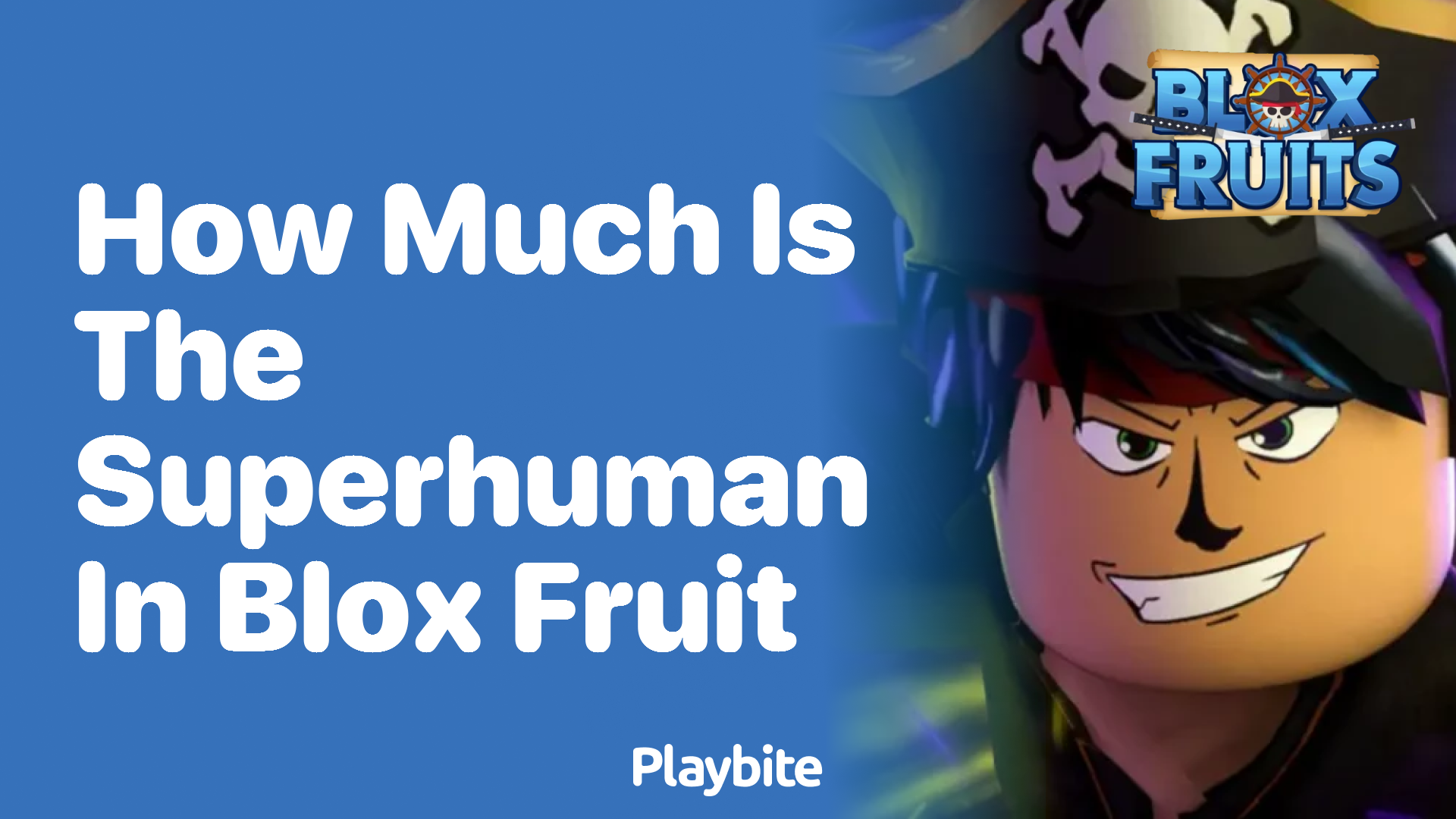 How to Get Superhuman in Blox Fruits Update 14 - Hướng Dẫn Chi Tiết