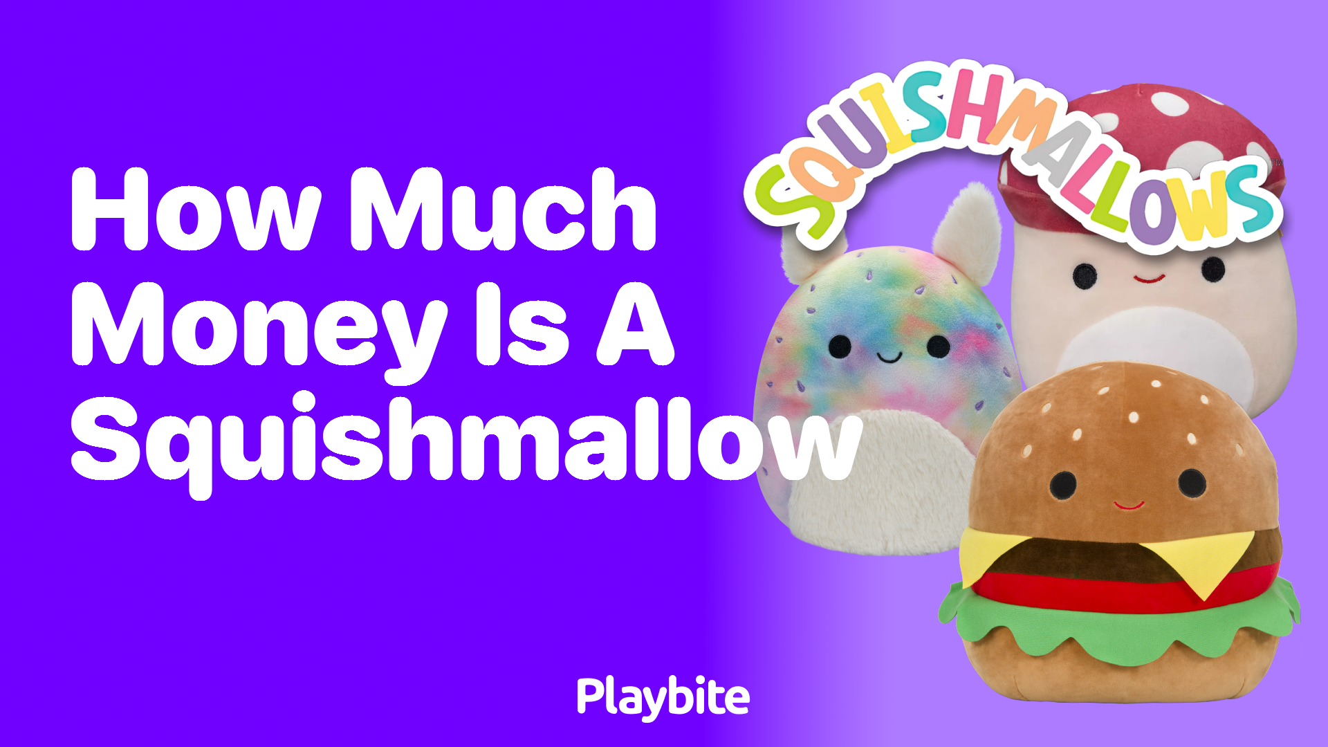 How Much Money is a Squishmallow?