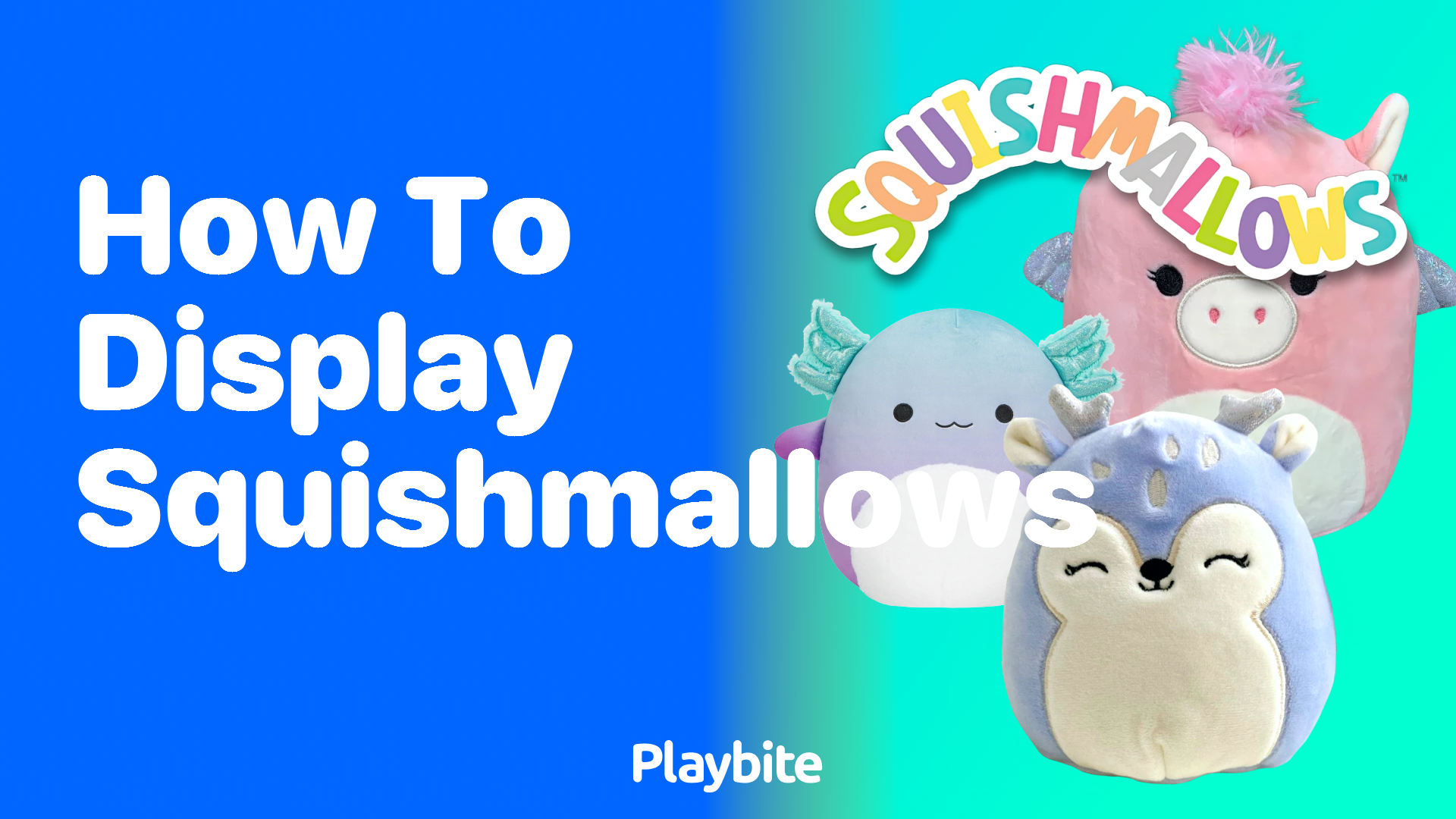 How to Display Squishmallows: Tips and Ideas