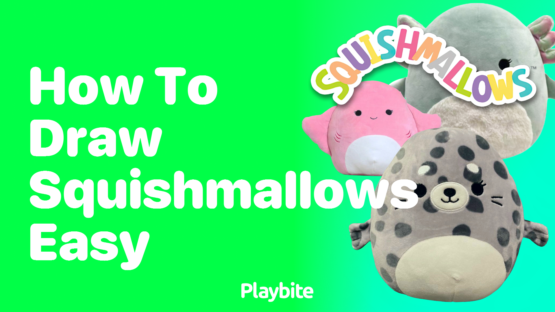 How to Draw Squishmallows Easily!