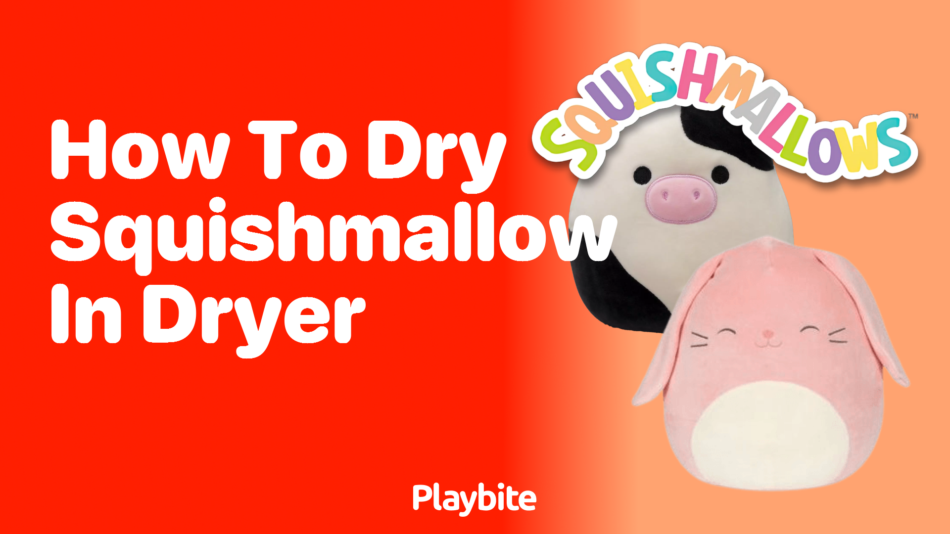 How to Safely Dry a Squishmallow in the Dryer