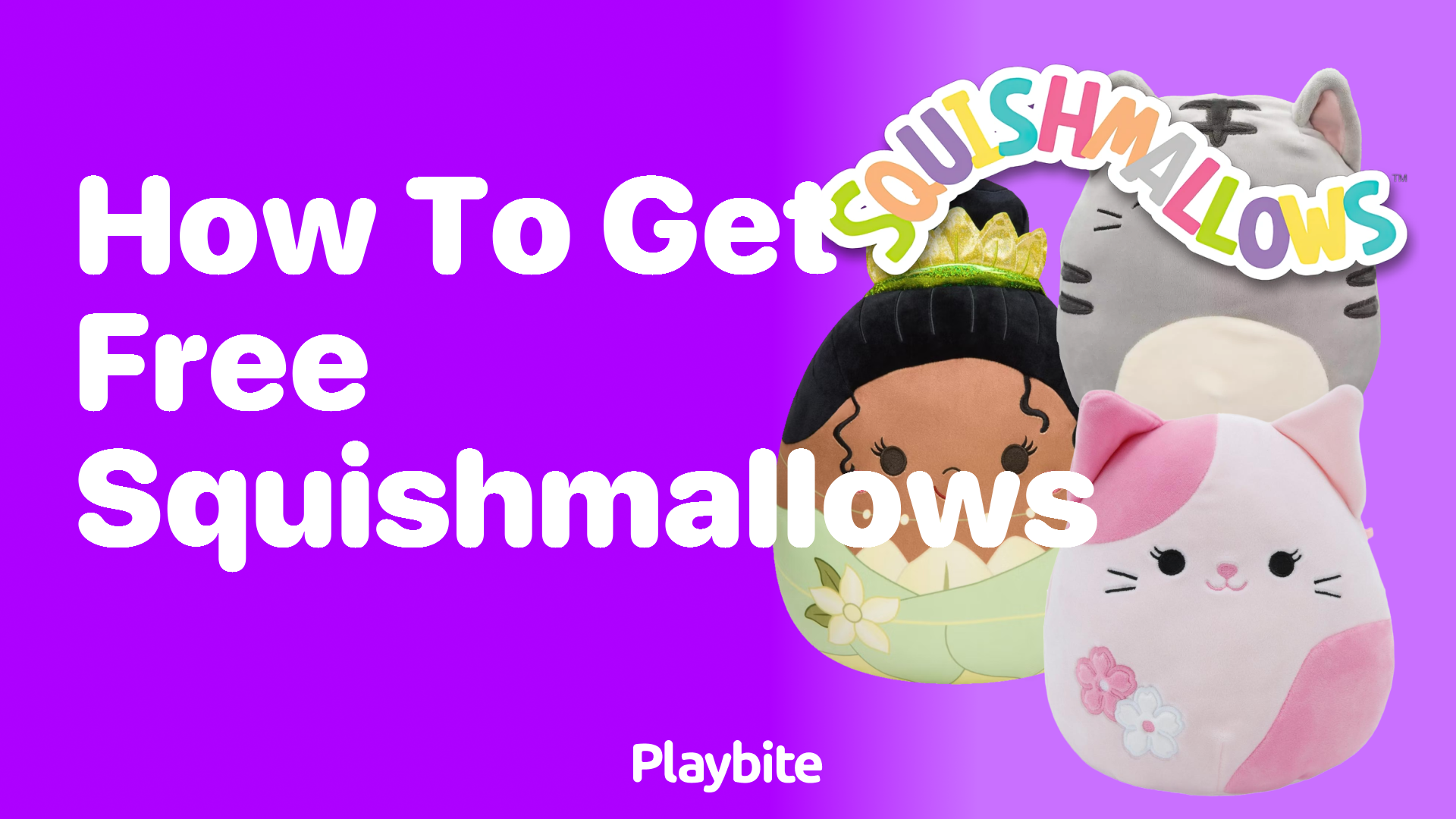 How to Get Free Squishmallows