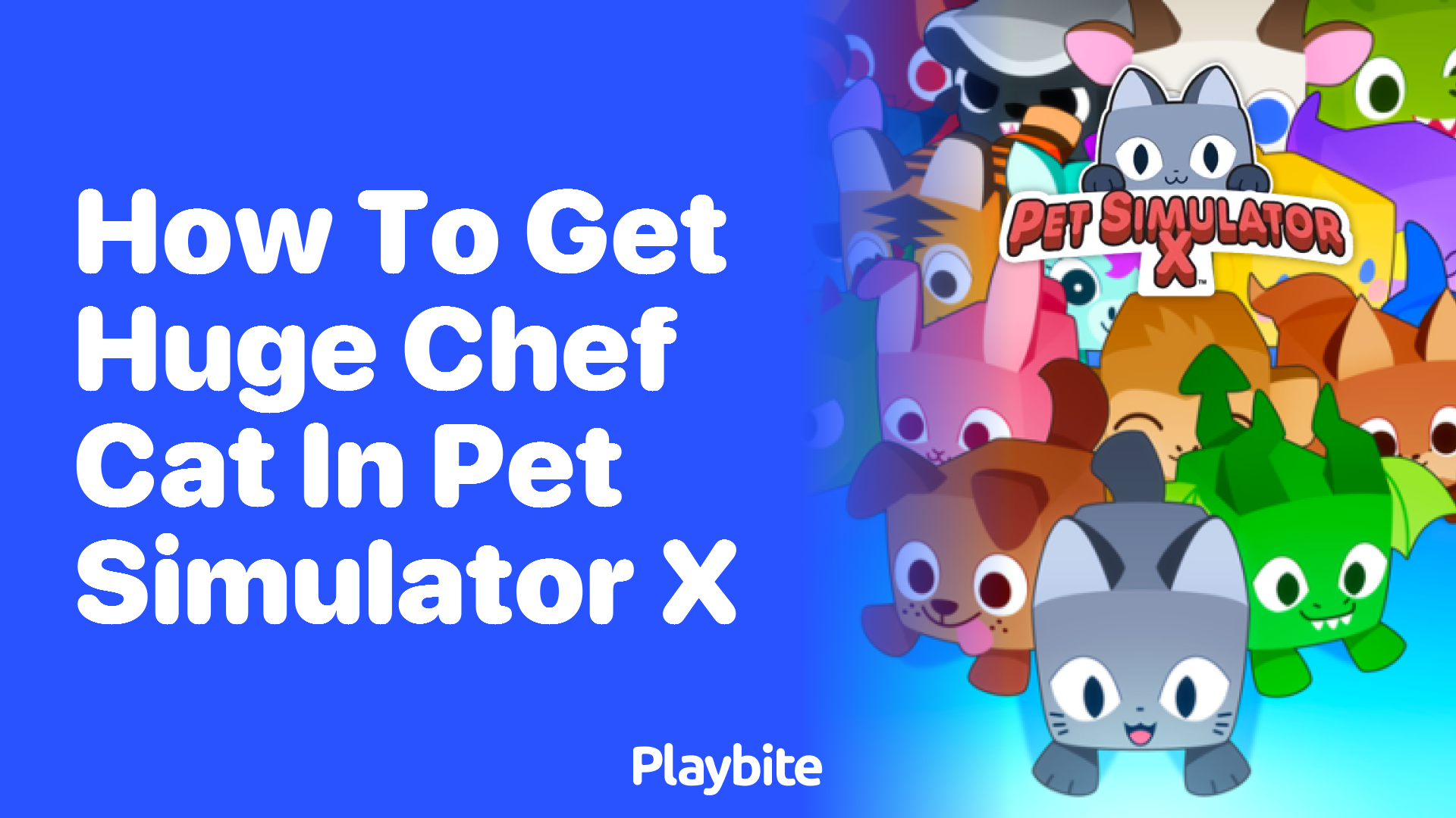 How to Get the Huge Chef Cat in Pet Simulator X