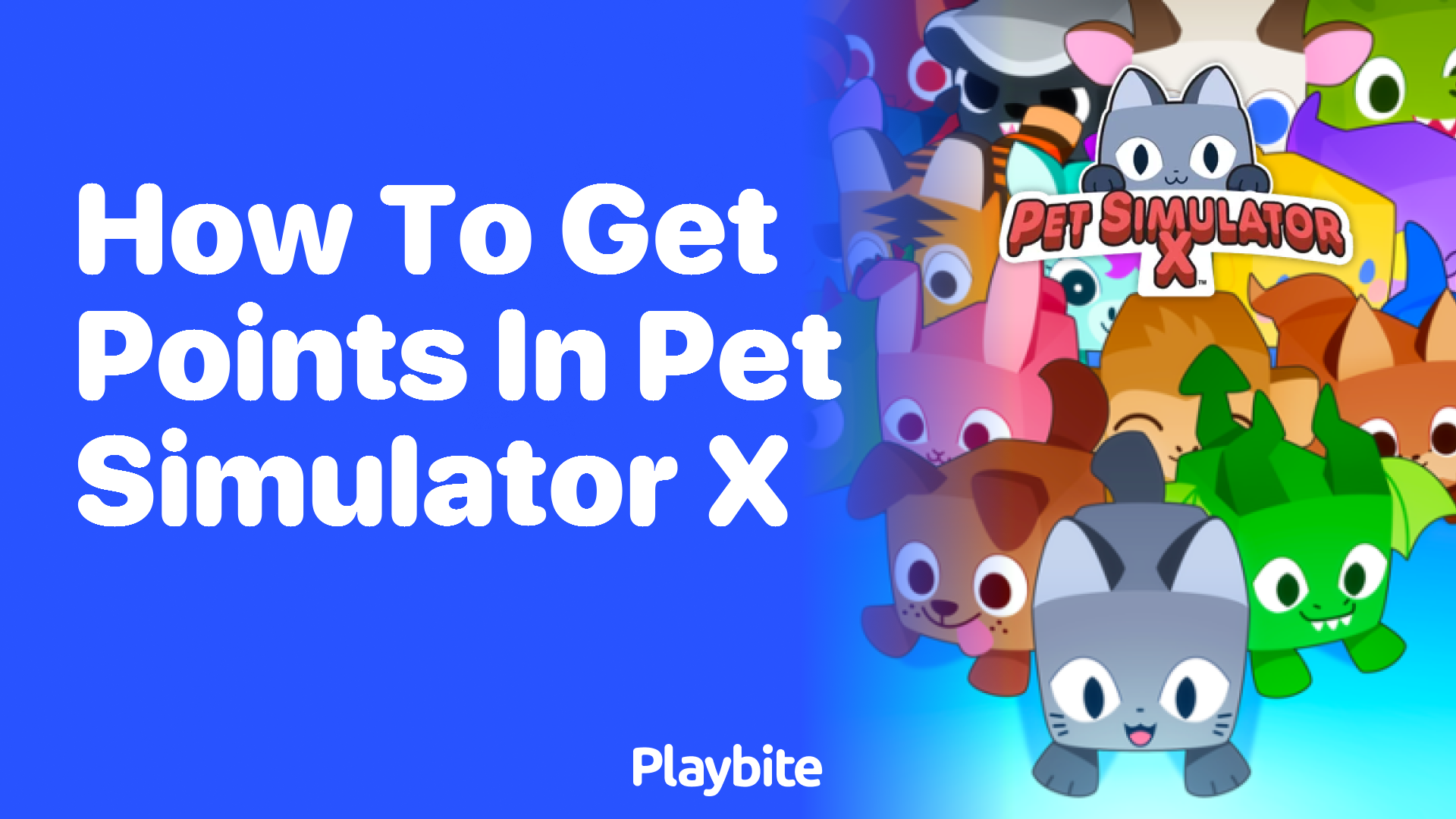 How to Rack up Points in Pet Simulator X: A Fun Guide