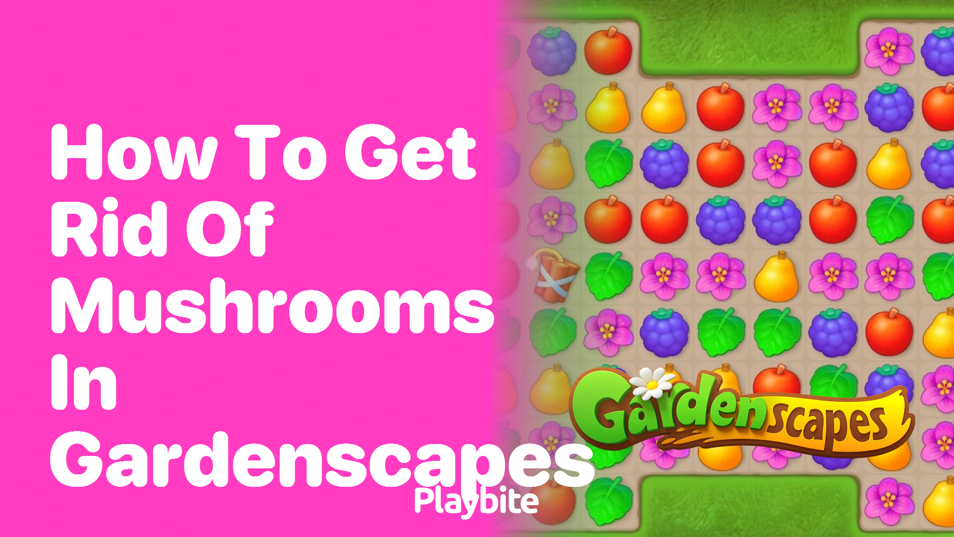 How to Get Rid of Mushrooms in Gardenscapes