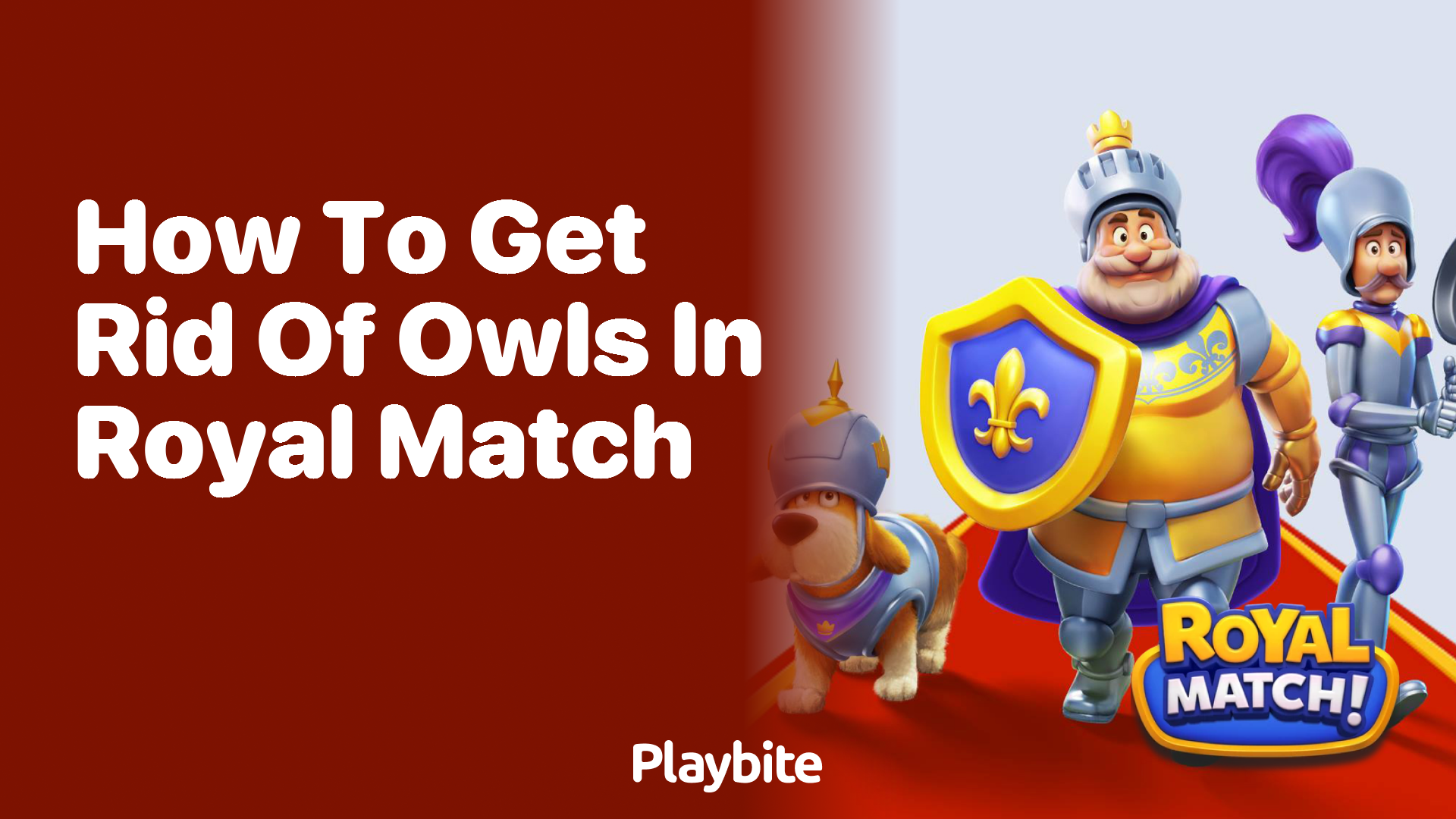 How to Get Rid of Owls in Royal Match
