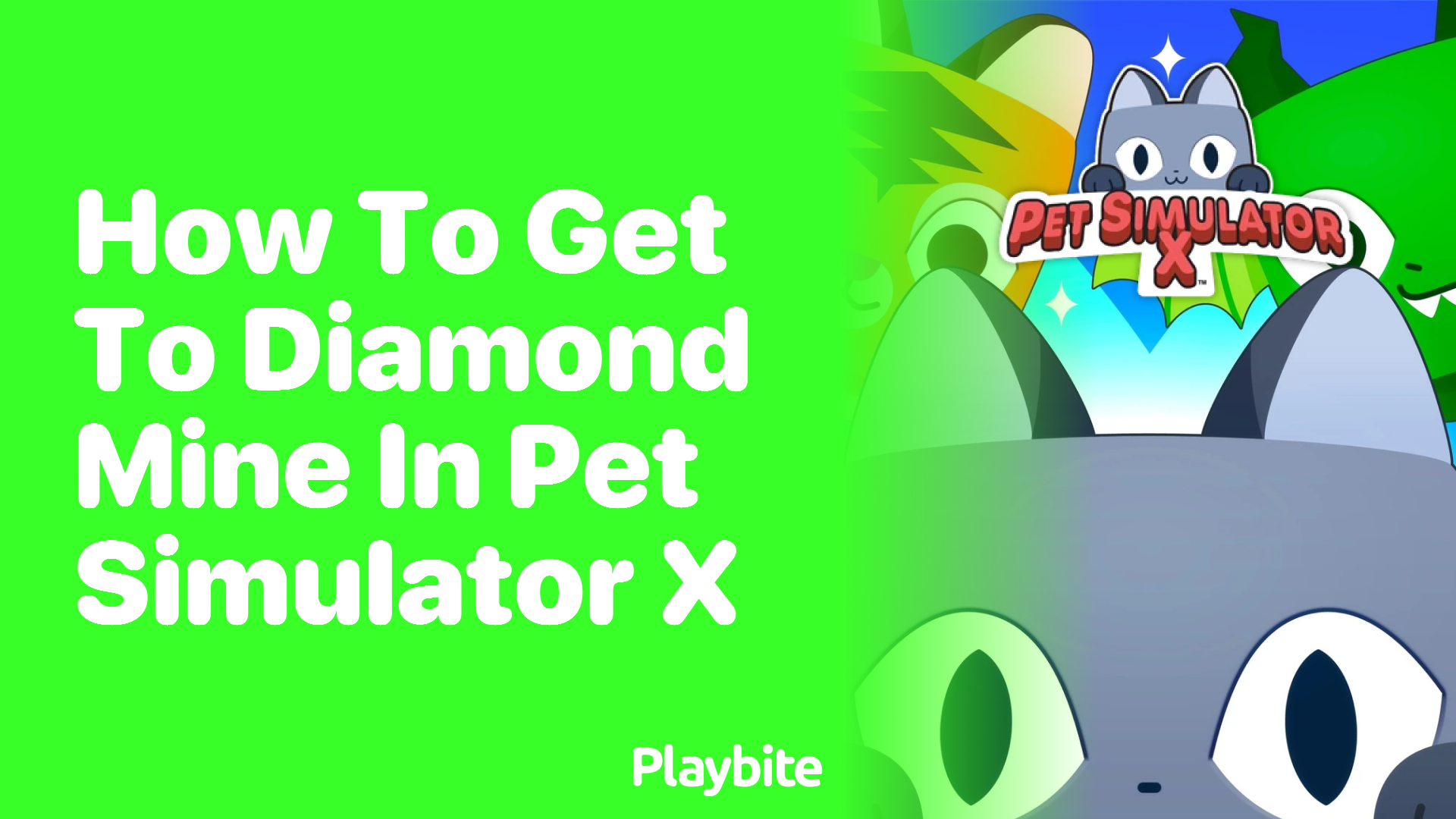 How to Get to Diamond Mine in Pet Simulator X