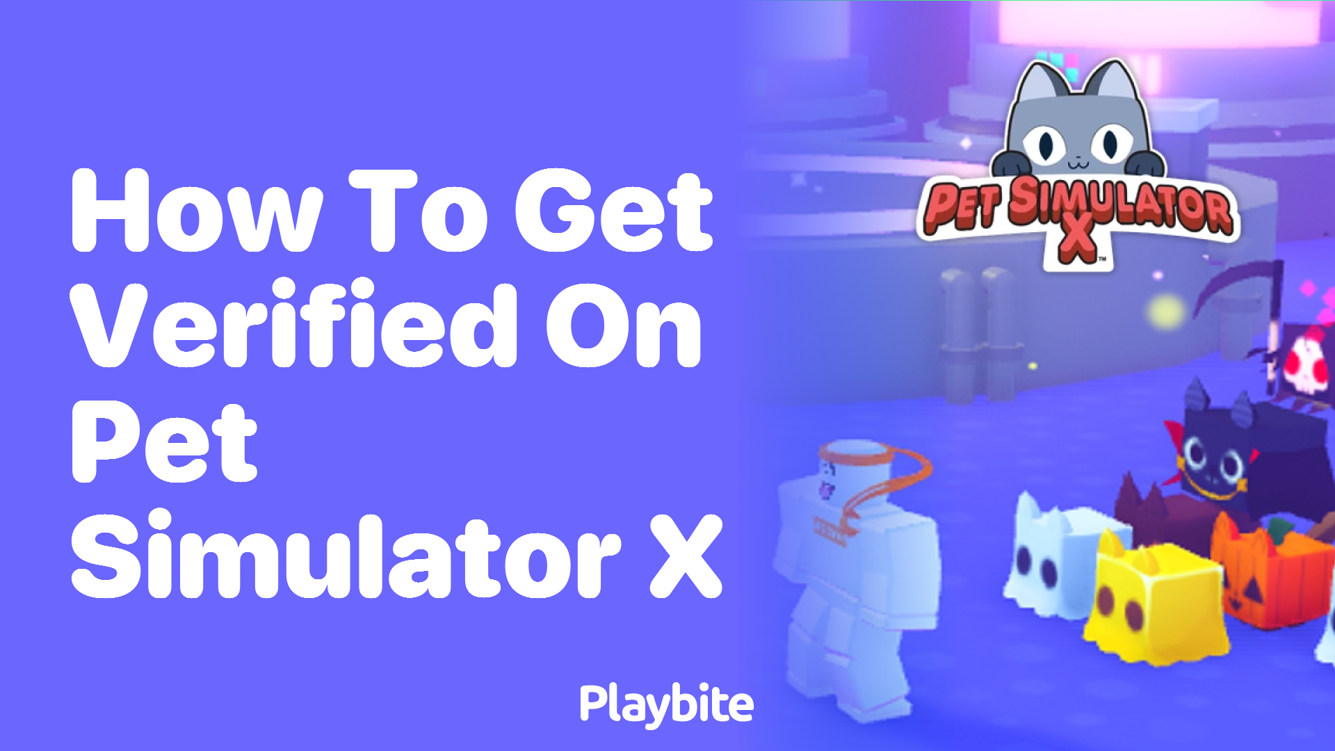 How to Get Verified on Pet Simulator X: A Simple Guide