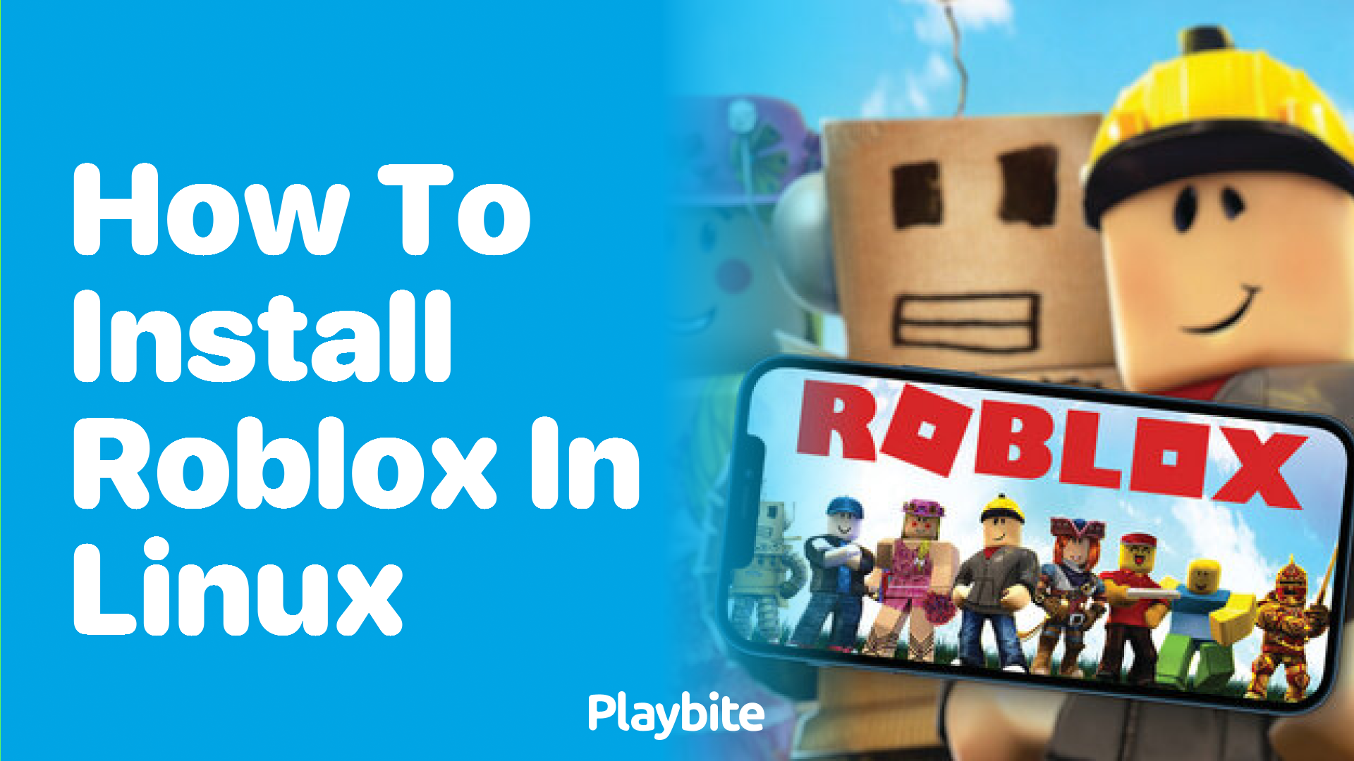 How to Install Roblox on Linux - Playbite