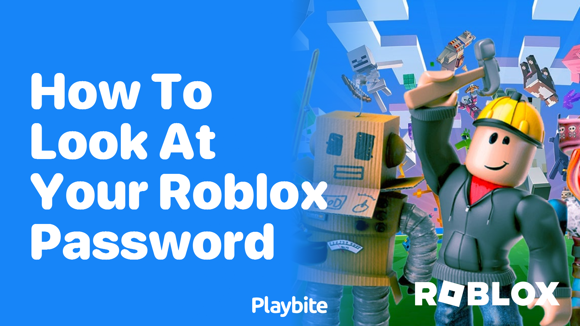 How to Look at Your Roblox Password - Playbite