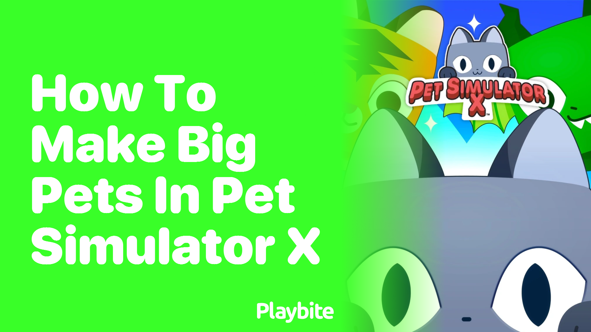 How to Make Big Pets in Pet Simulator X