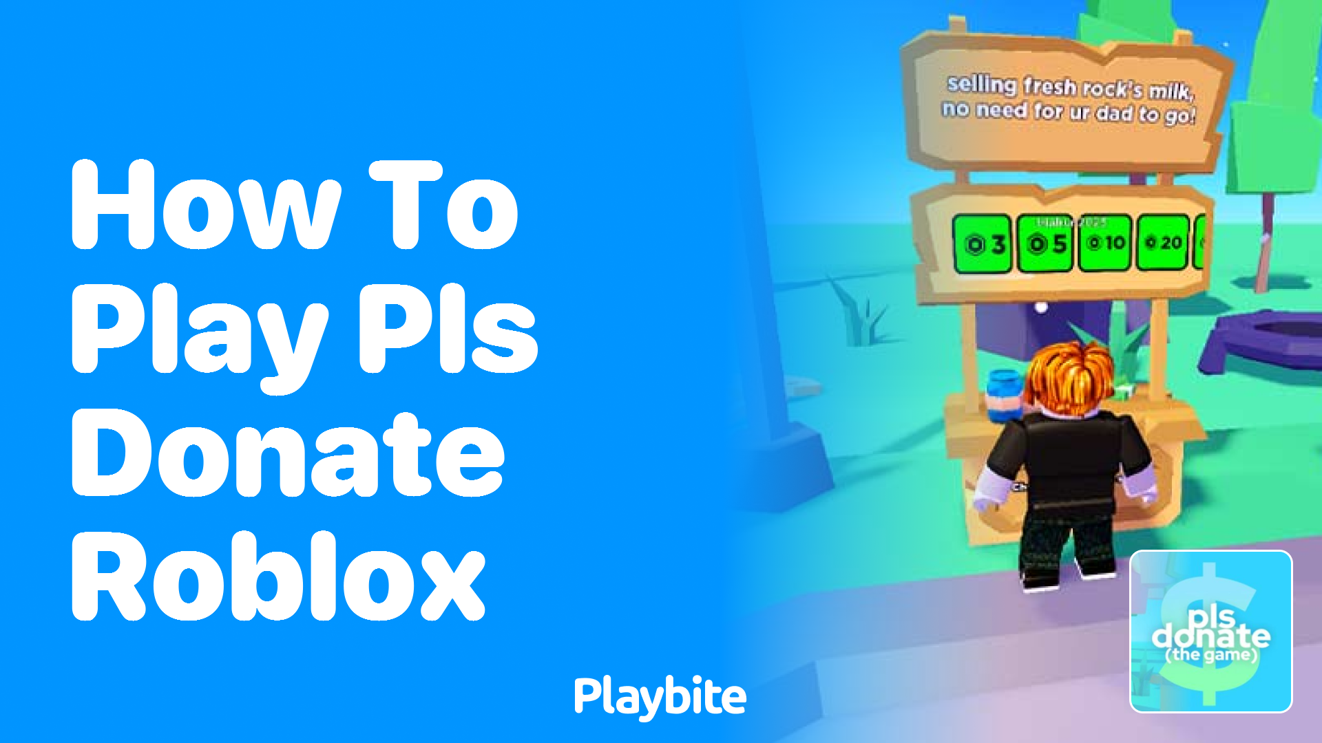 How to Play PLS DONATE on Roblox - Playbite