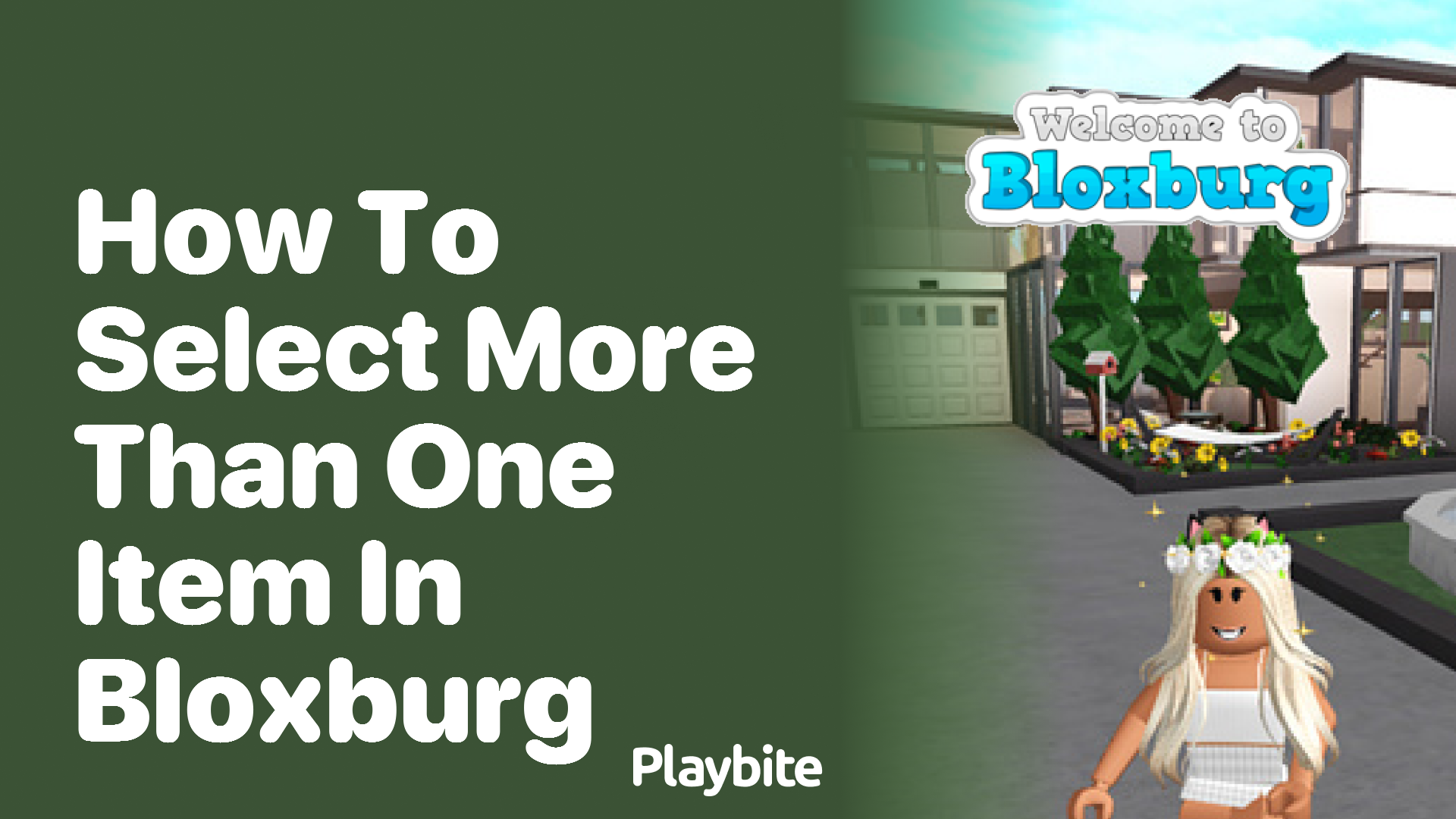 How to Select More Than One Item in Bloxburg