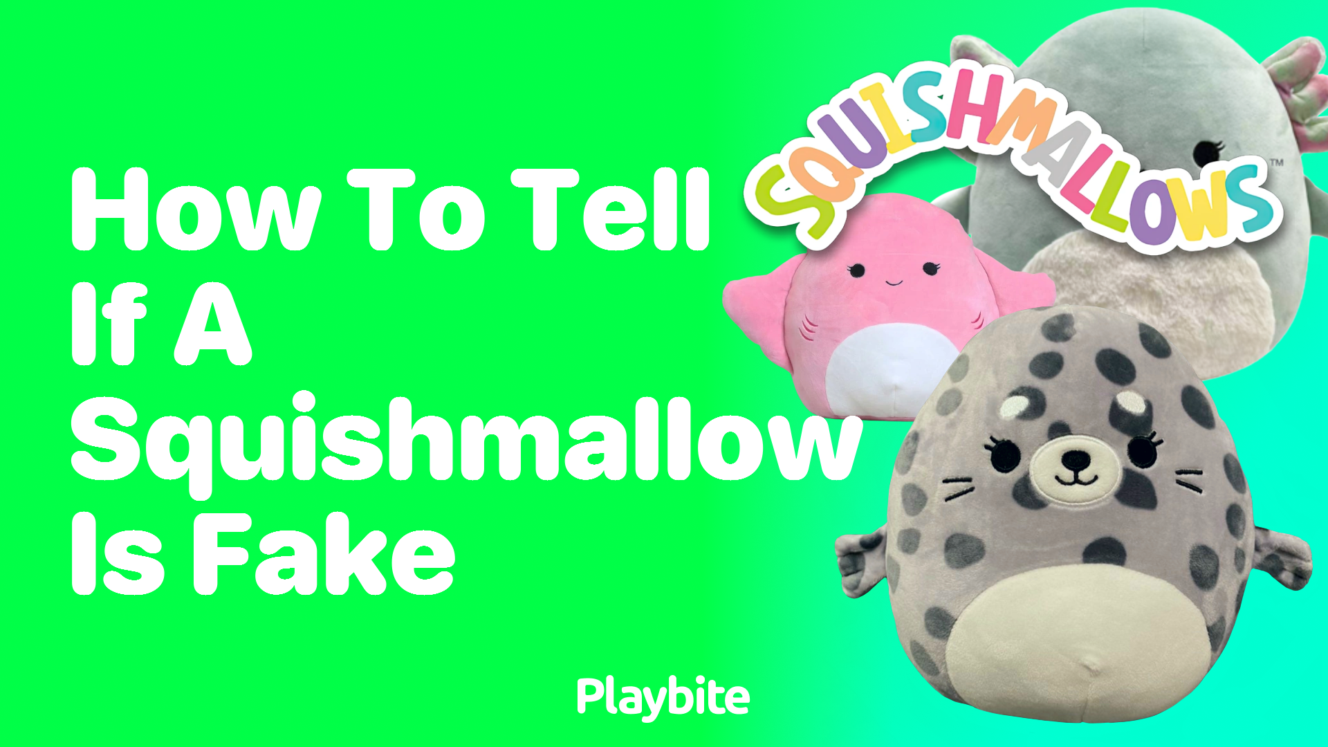 How to Tell if a Squishmallow is Fake