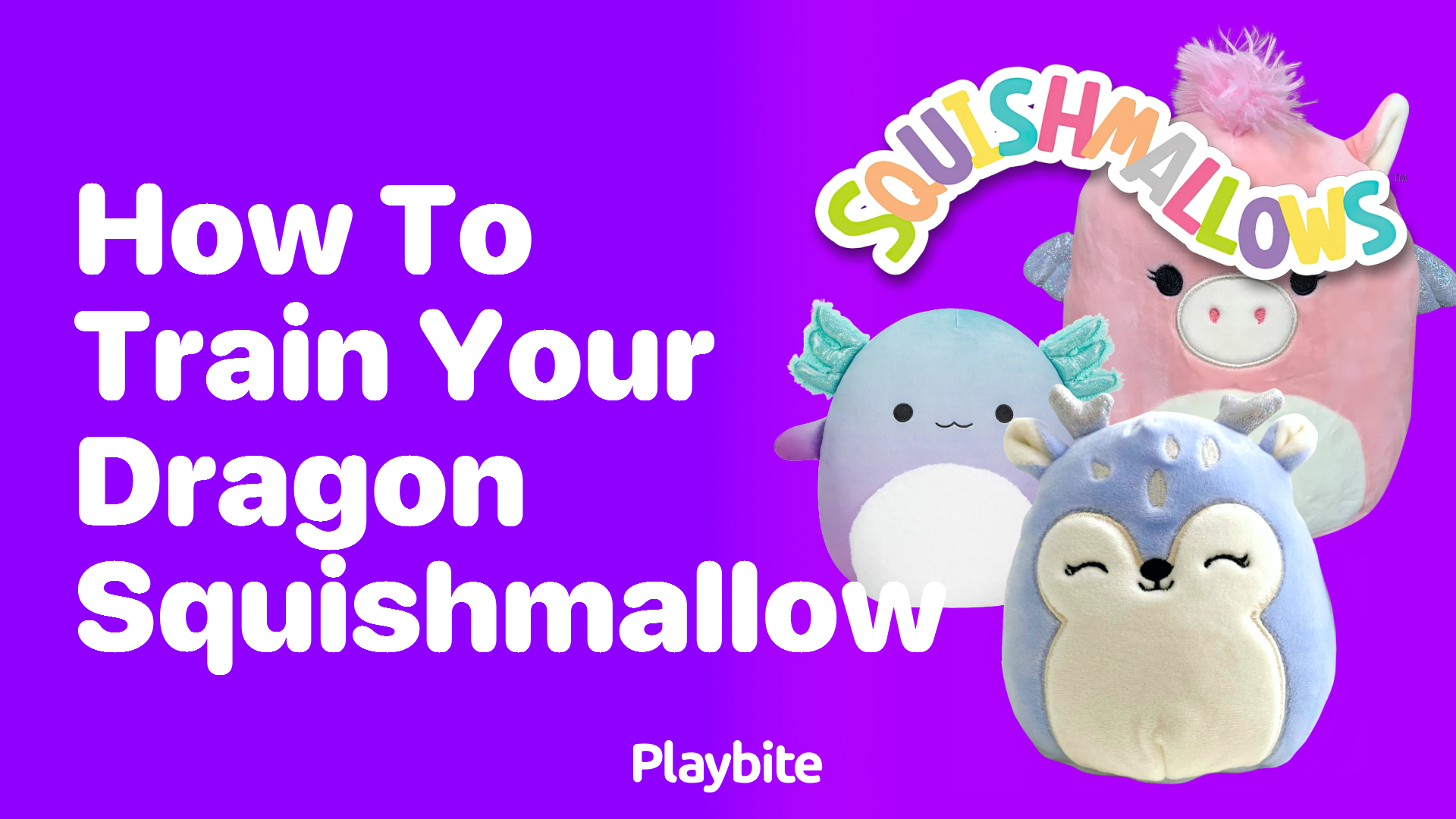 How to Train Your Dragon Squishmallow: A Fun Guide