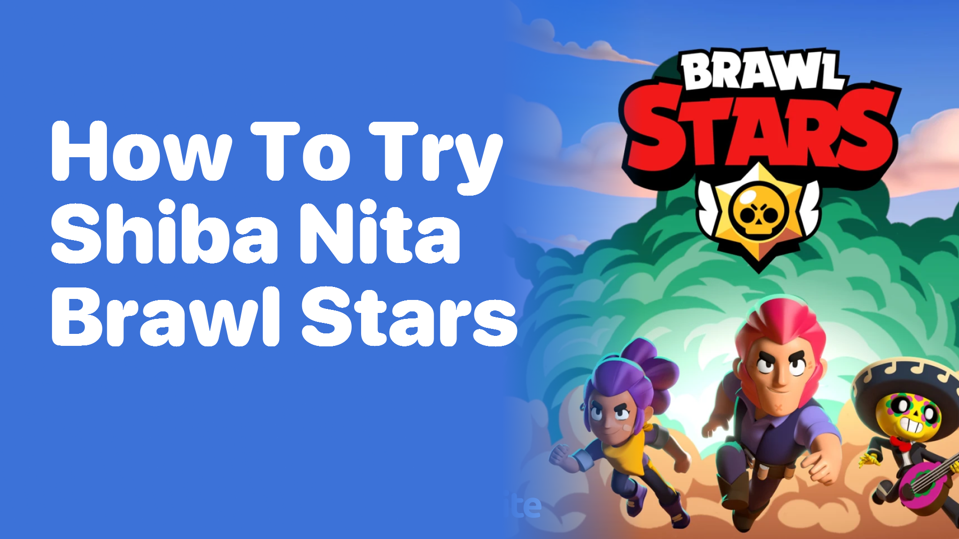 How to Try Shiba Nita in Brawl Stars - Playbite