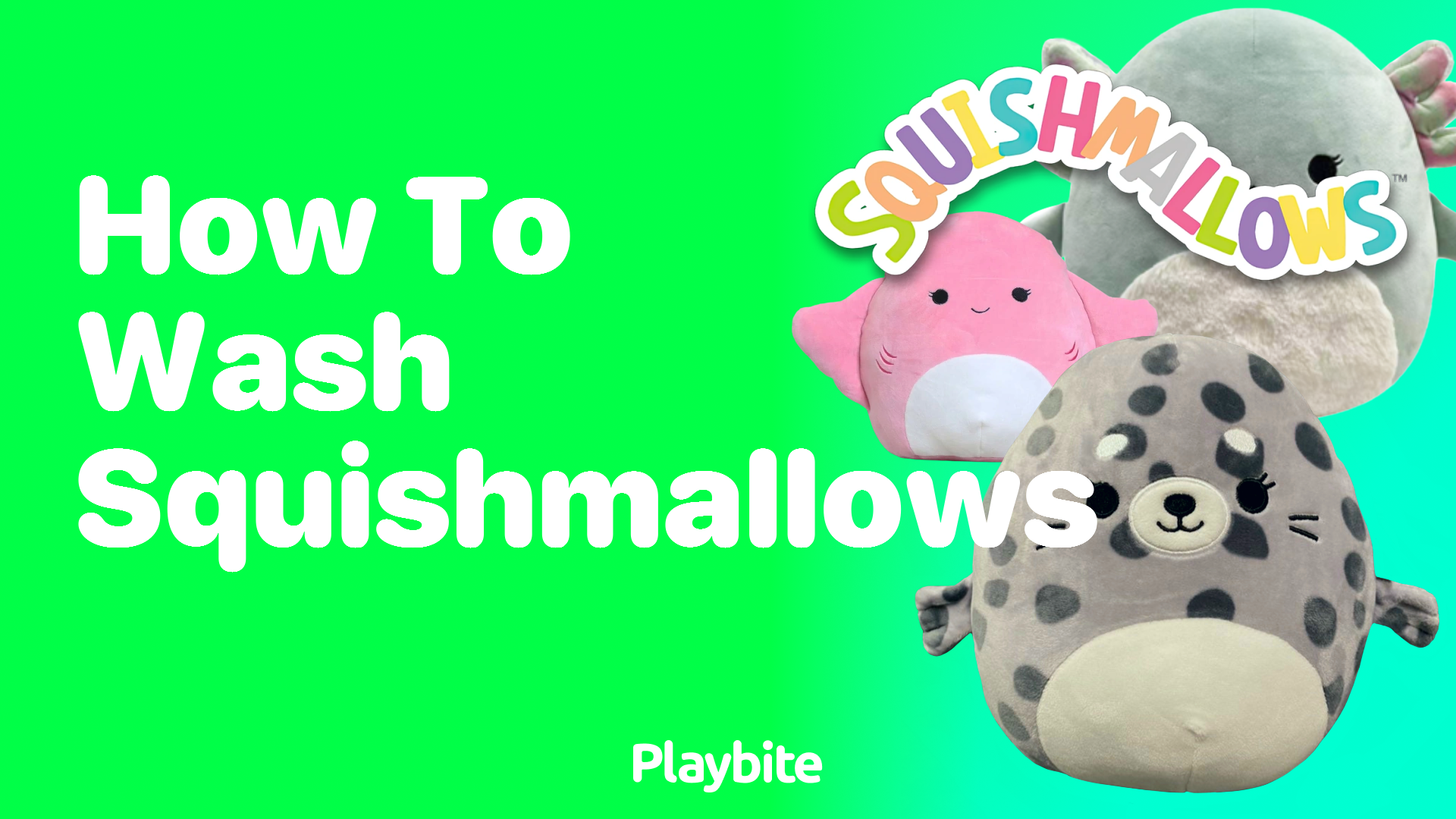 How to Wash Squishmallows: Keeping Your Cuddly Friends Clean - Playbite