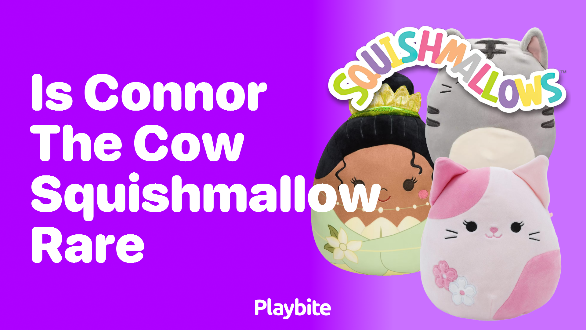 Is Connor the Cow Squishmallow Rare?