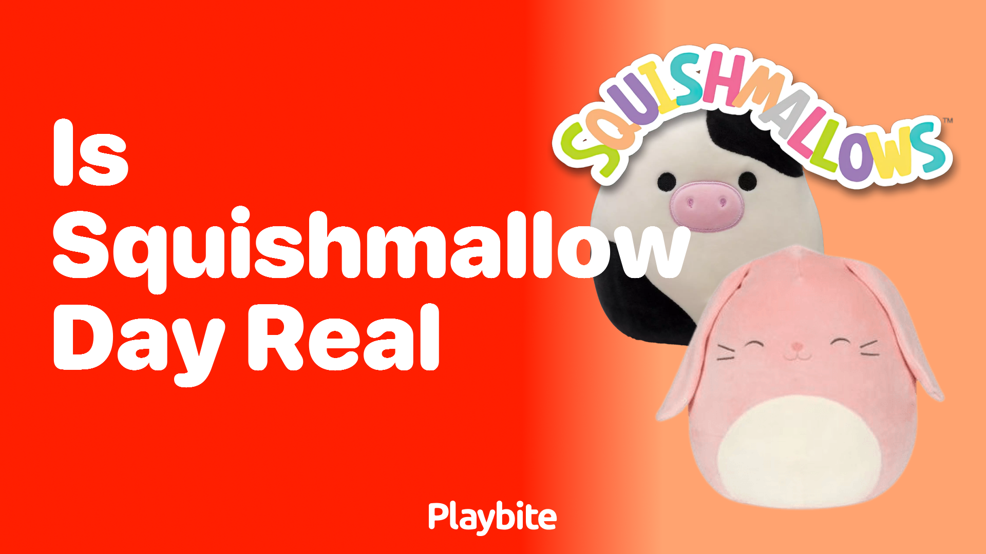 Is Squishmallow Day Real? Unwrapping the Truth